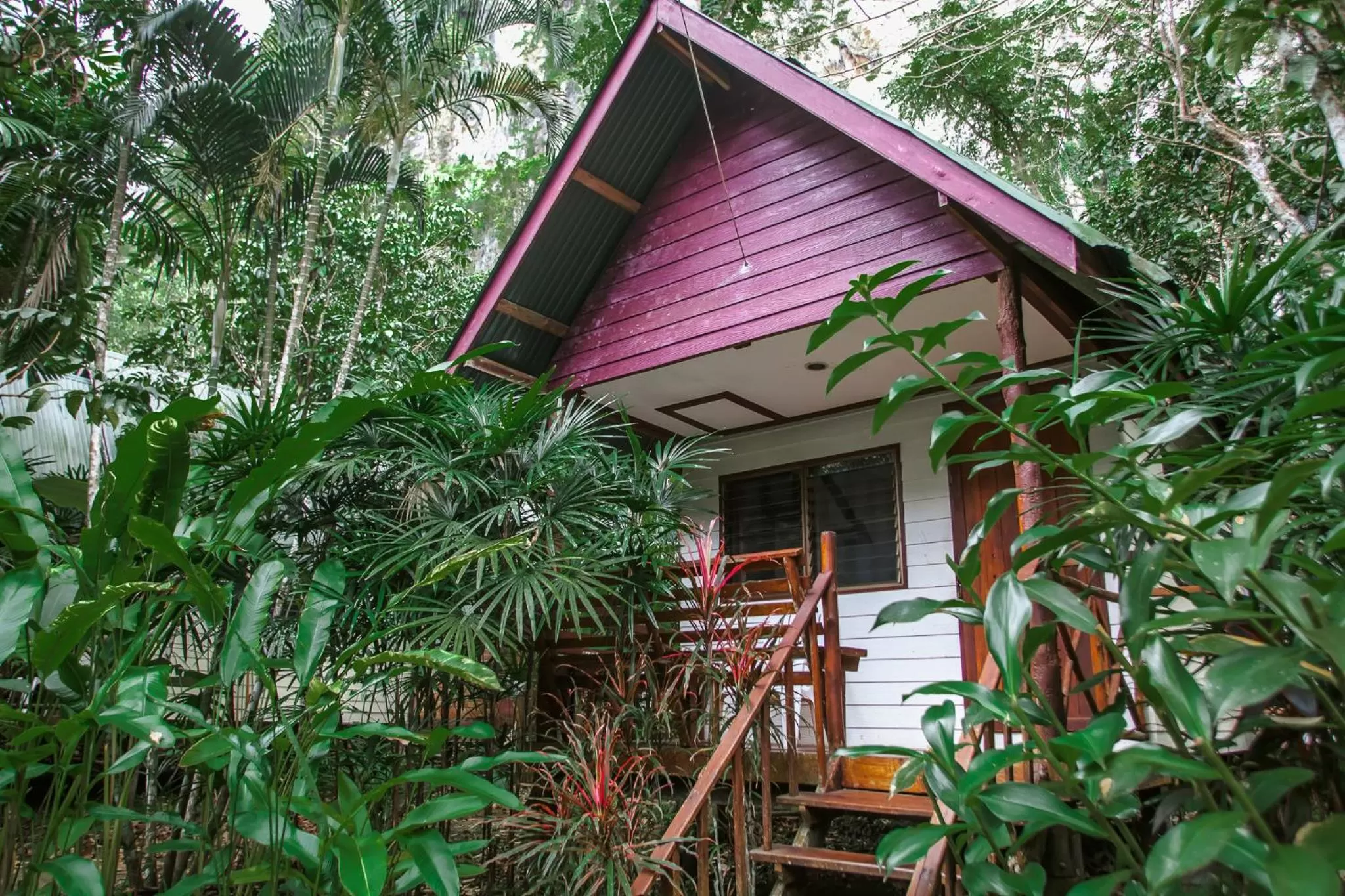 Area and facilities, Property Building in Aonang Cliff View Resort SHA Extra Plus