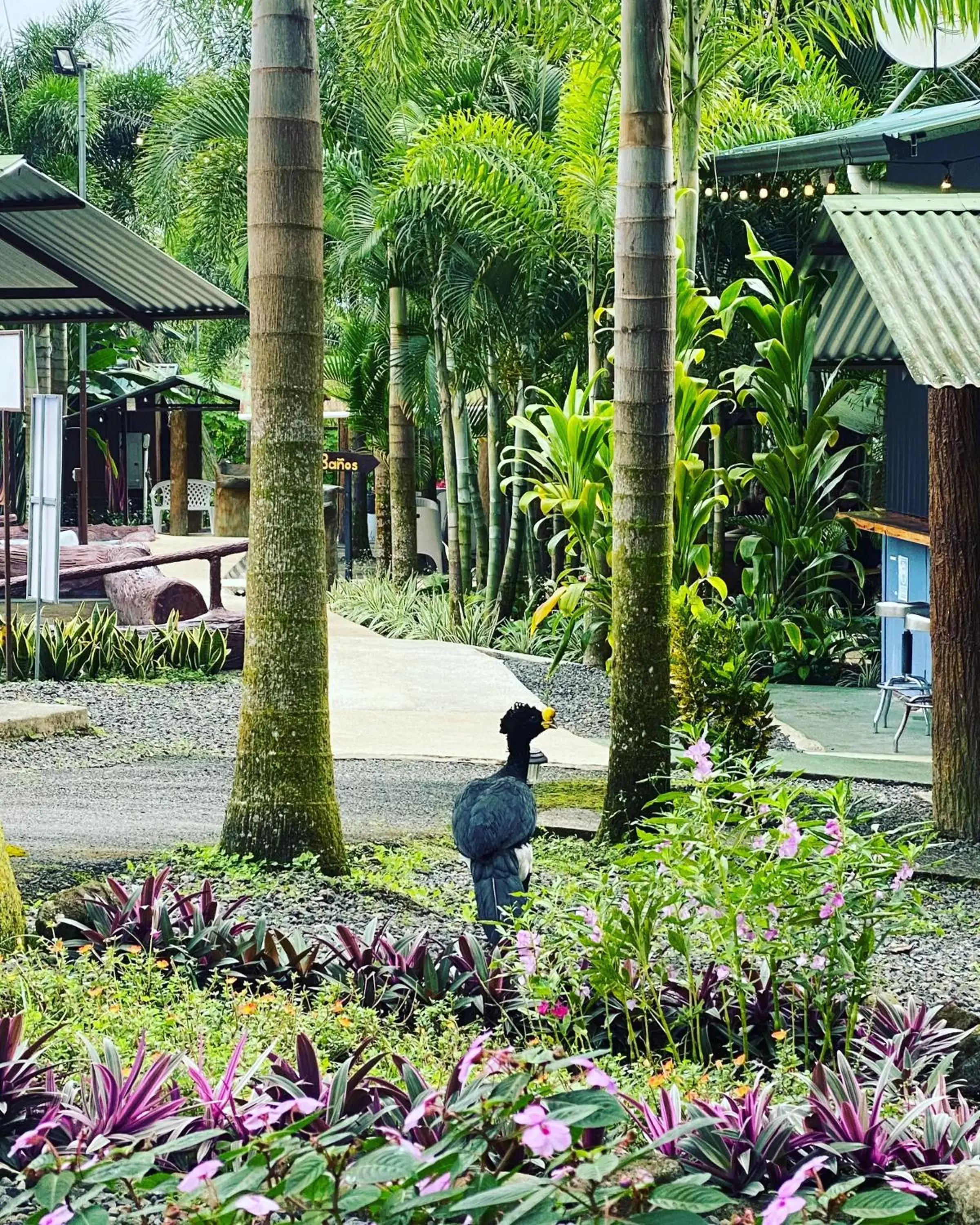 Natural landscape in Termales del Arenal