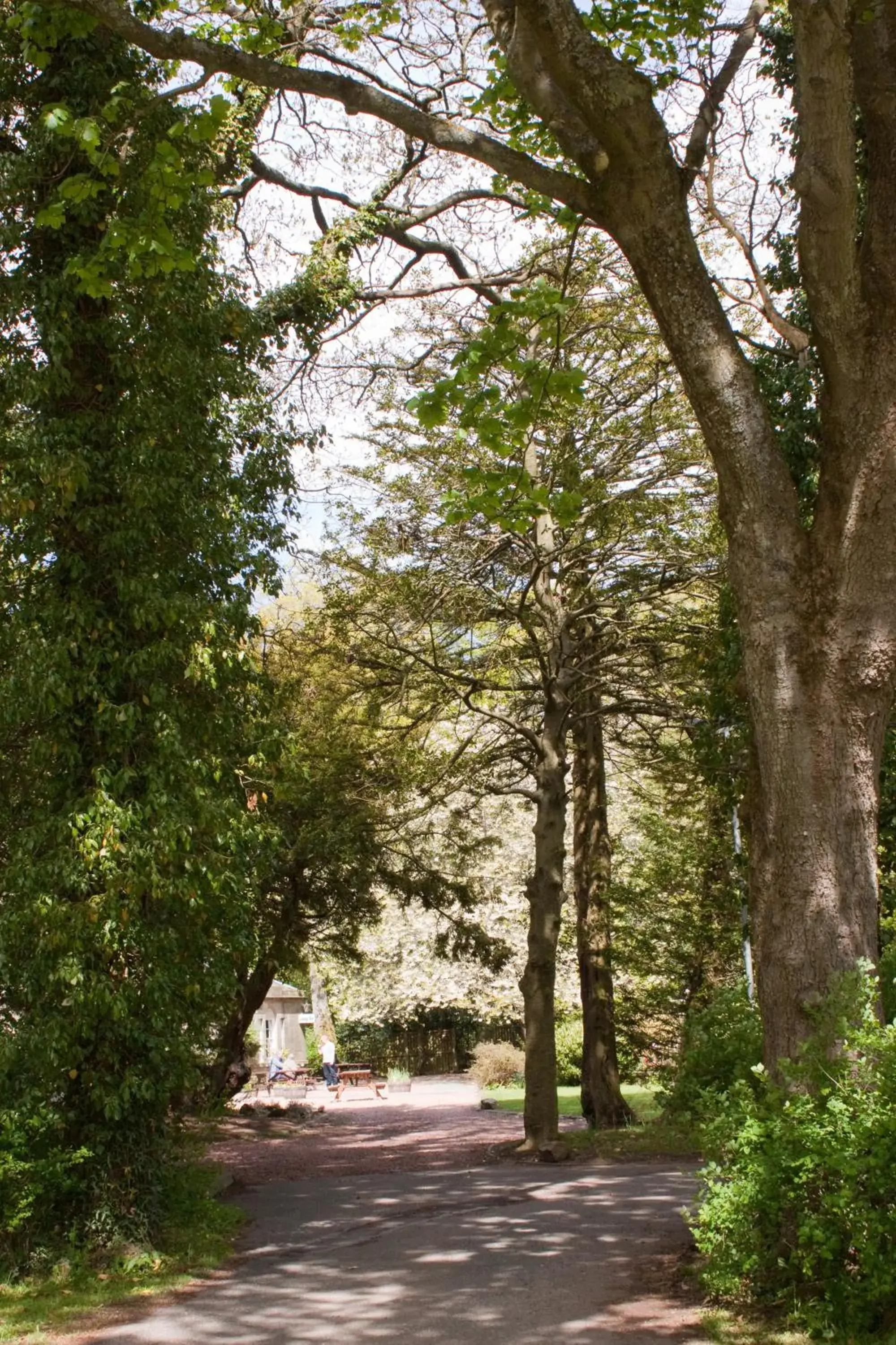 View (from property/room) in Bankton House Hotel