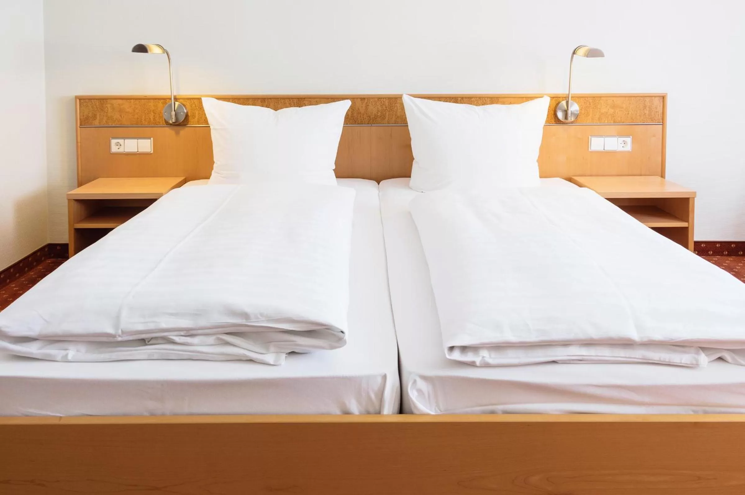 Photo of the whole room in Hotel Rad