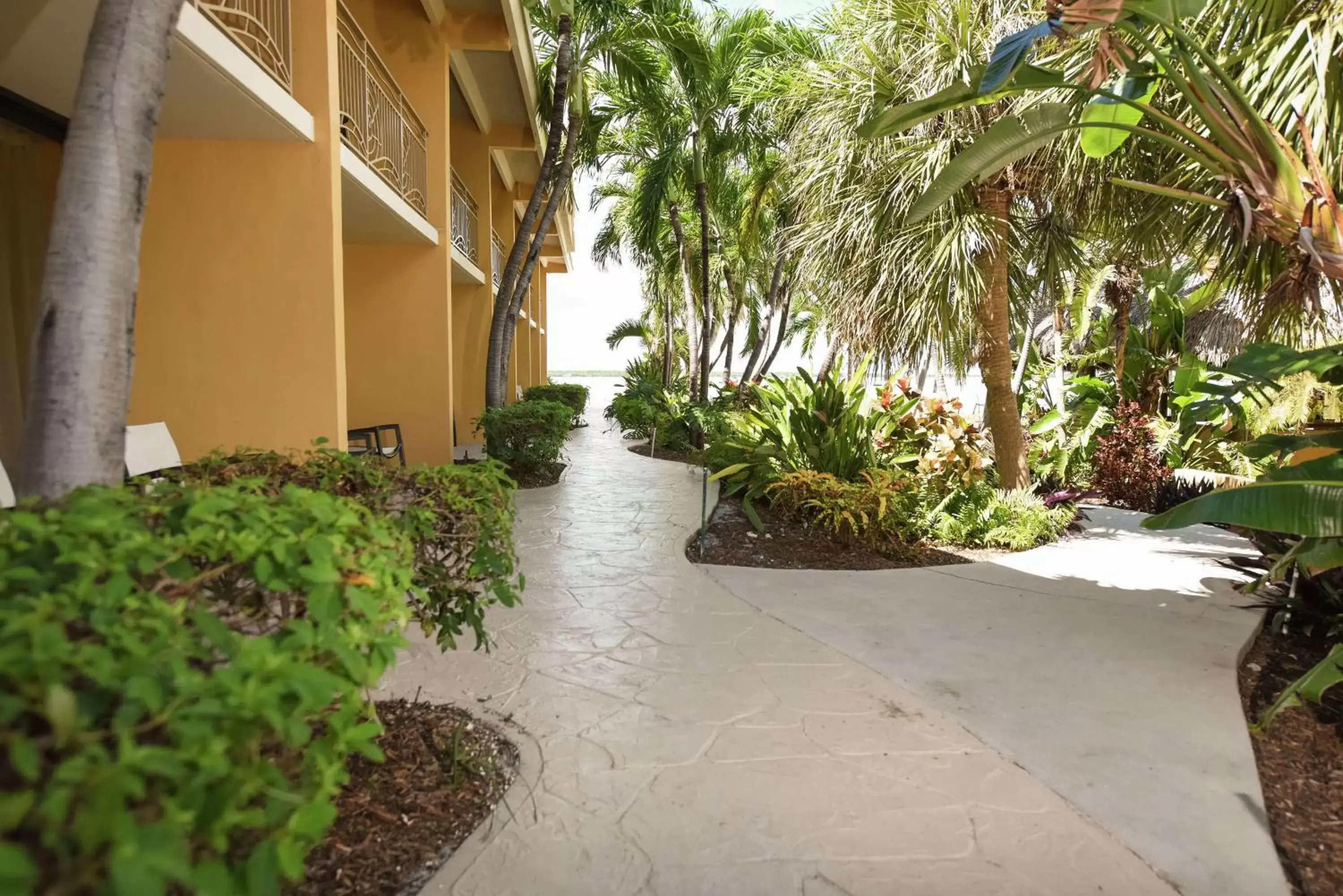 Property building in Hampton Inn Key Largo