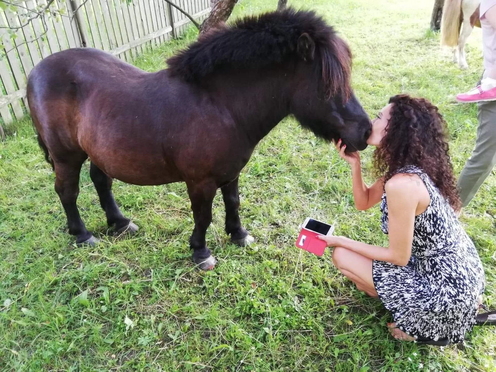 Property building, Other Animals in Pensiunea SilvAnka