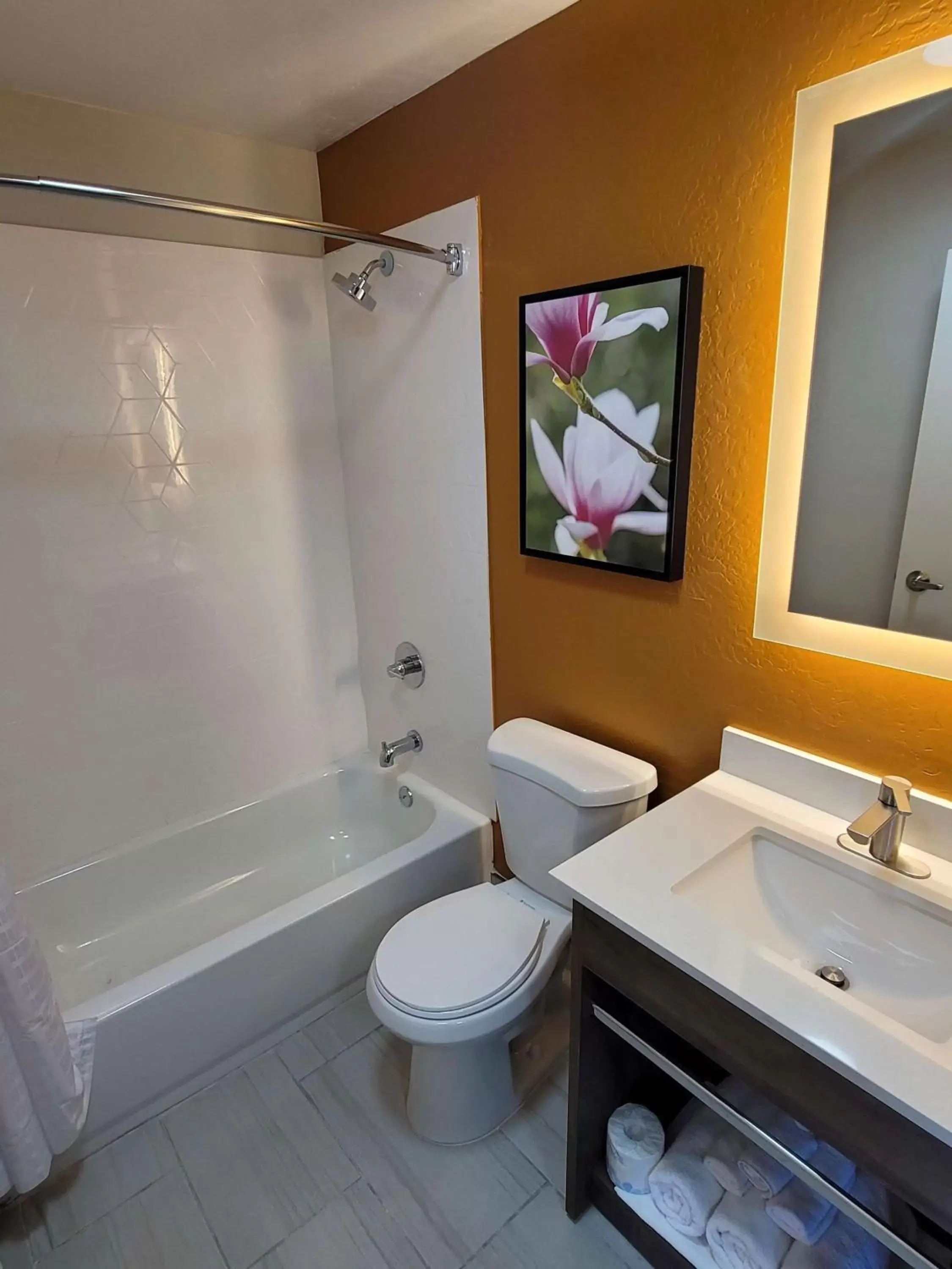 Bathroom in Best Western Bellemont Shadow Mountain Inn