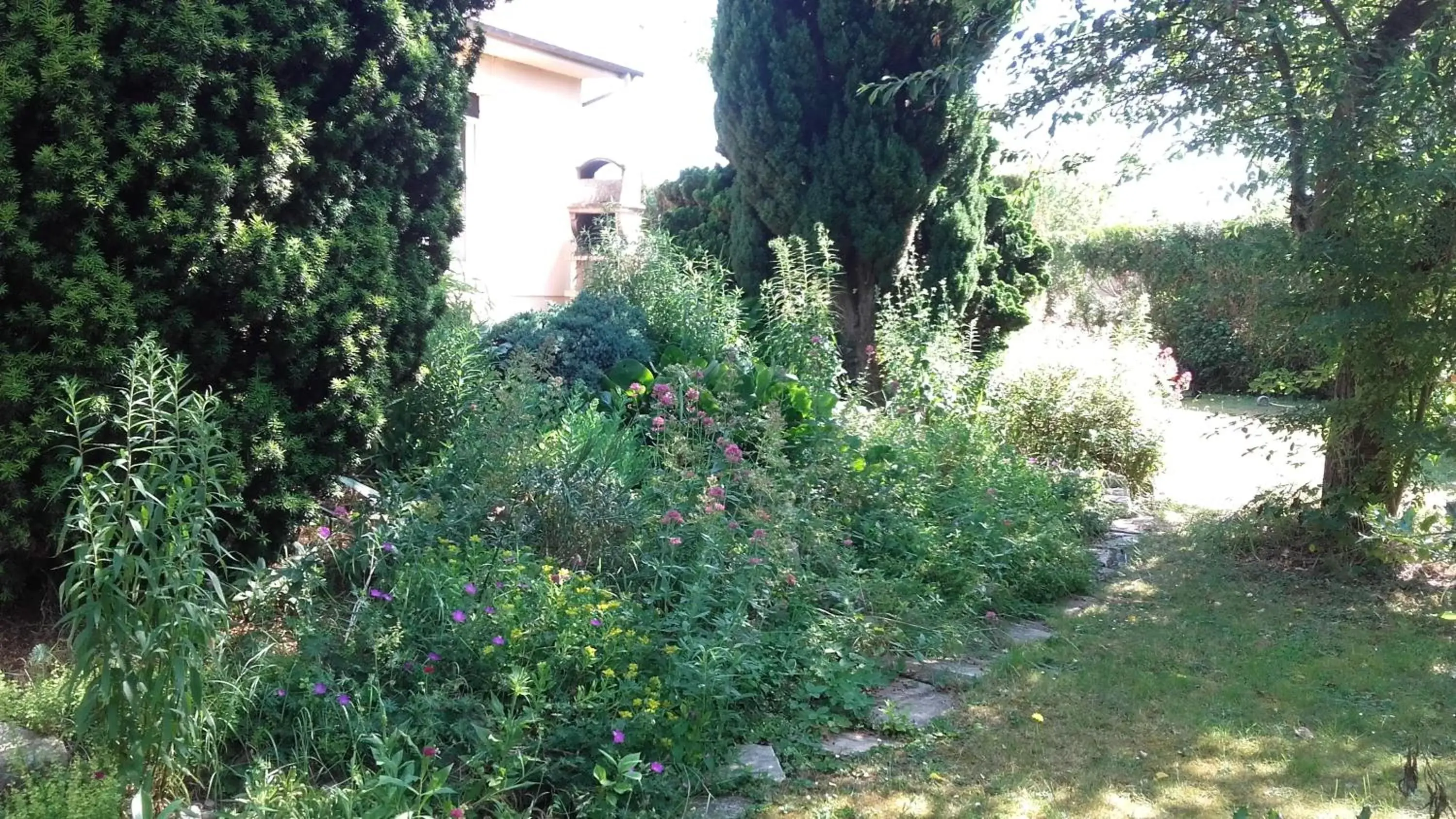 Garden in Chambres du Jardin Fleuri