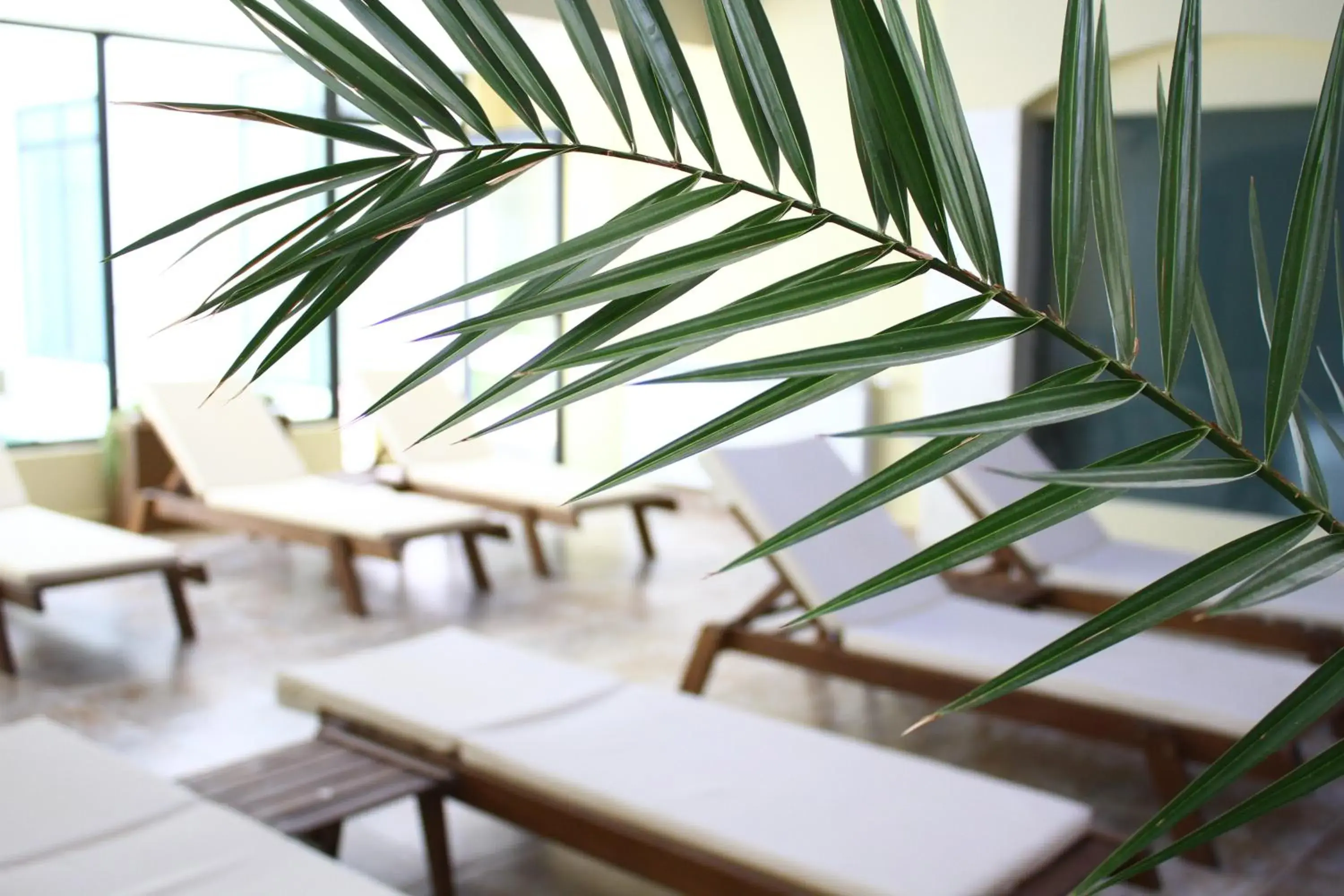 Spa and wellness centre/facilities in White Rock Castle Suite Hotel & SPA Spa and wellness centre/facilities in White Rock Castle Suite Hotel & SPA