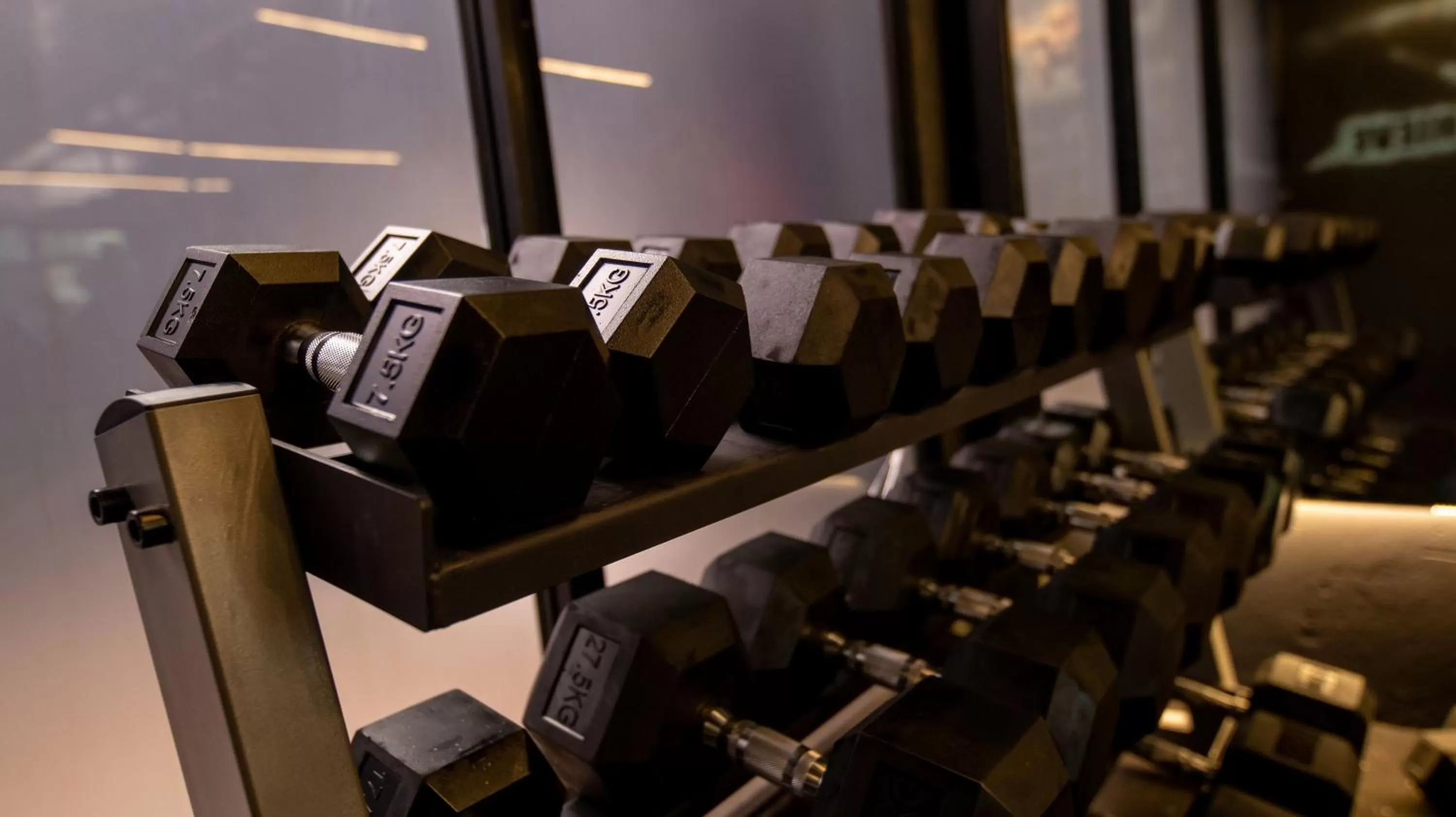 Fitness centre/facilities, Fitness Center/Facilities in Gigiri Lion Villas II