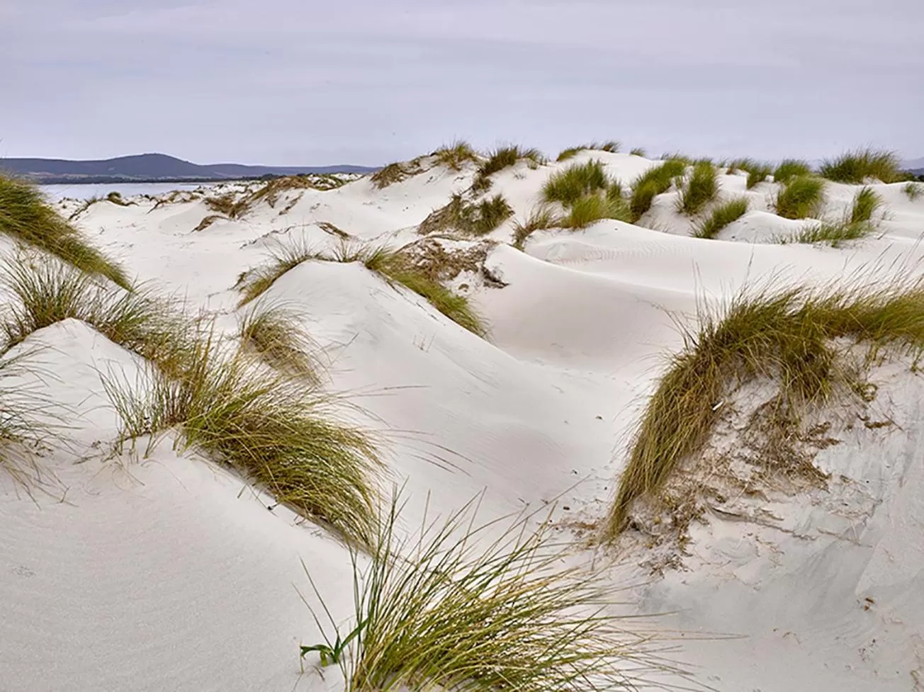 Nearby landmark in Hotel Jasmine