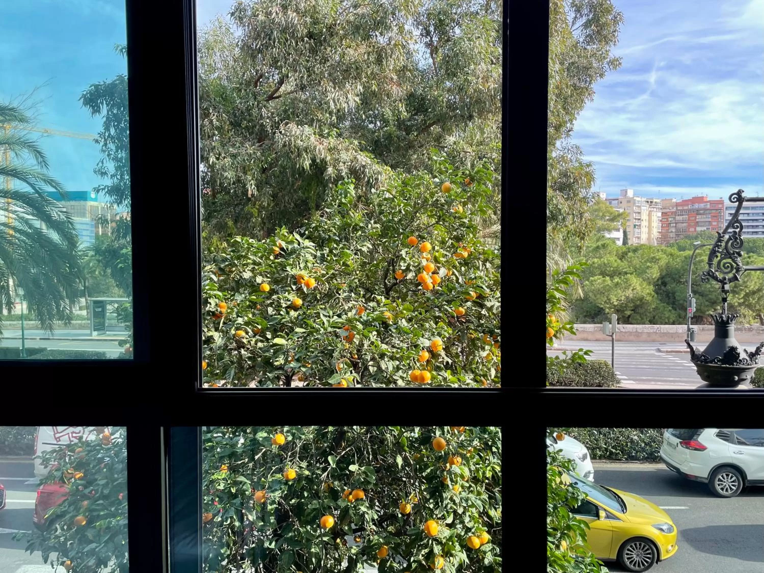 Property building in MD Modern Hotel - Jardines