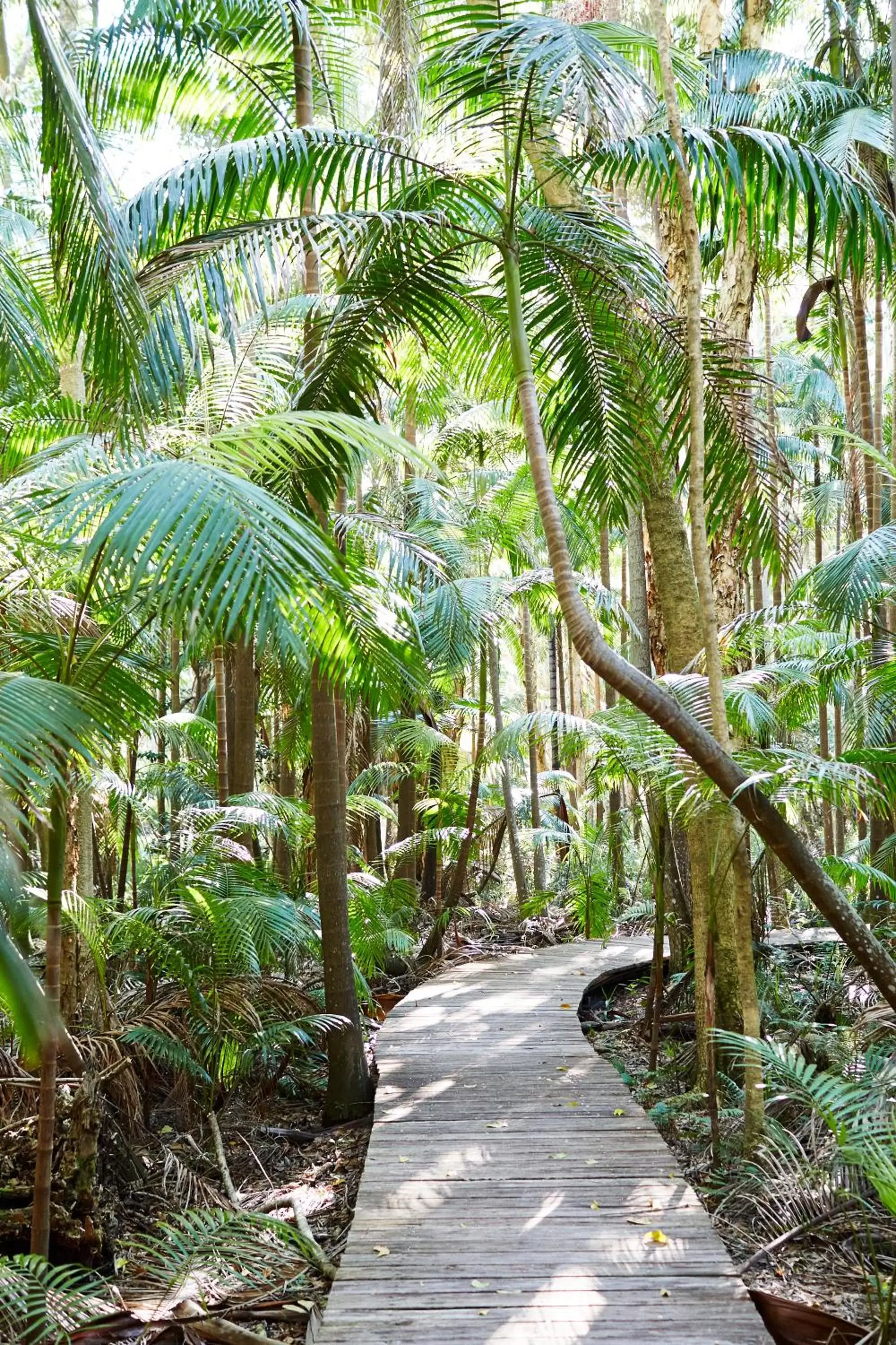 Natural landscape in Crystalbrook Byron