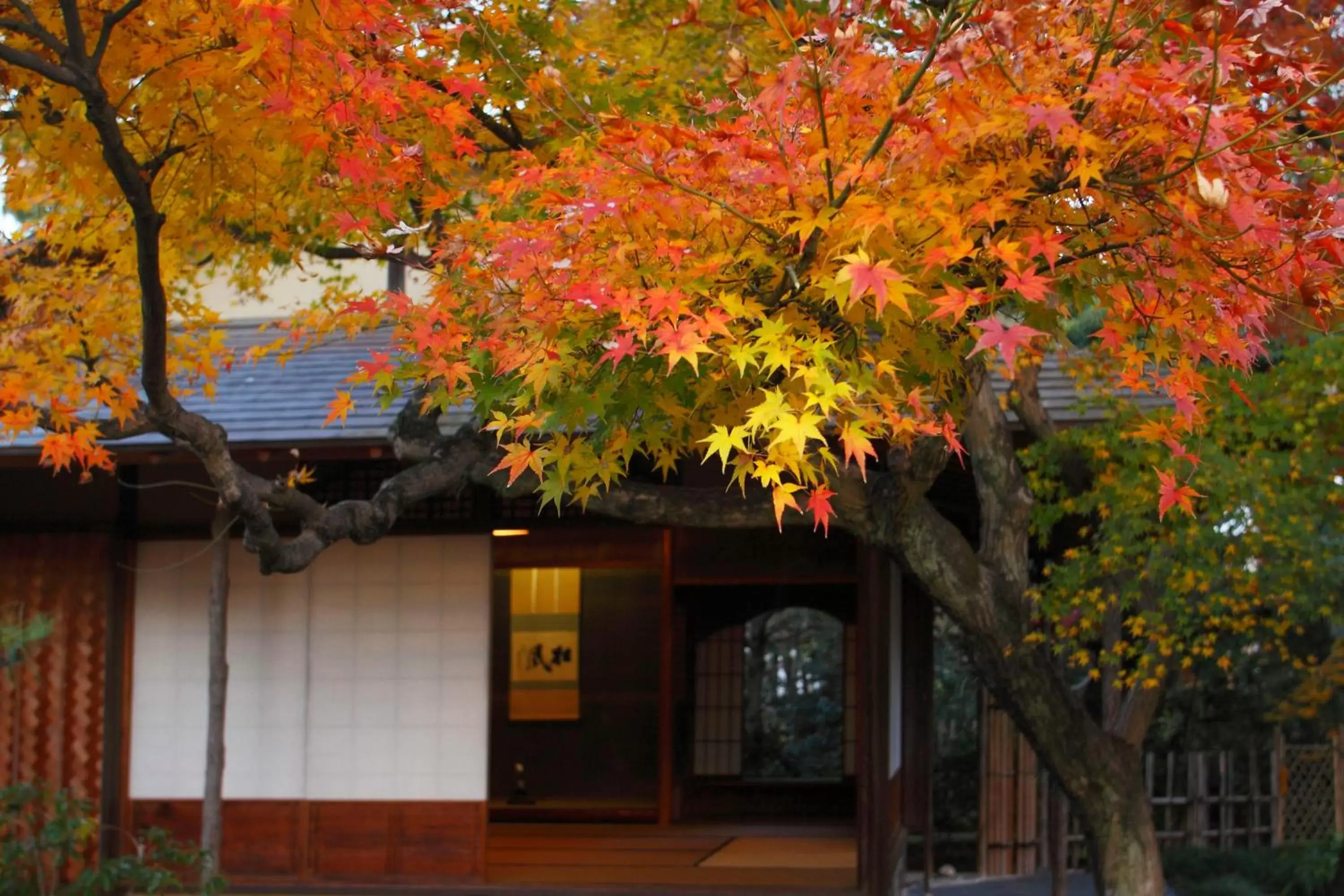 Location in Hotel Eclair Hakata