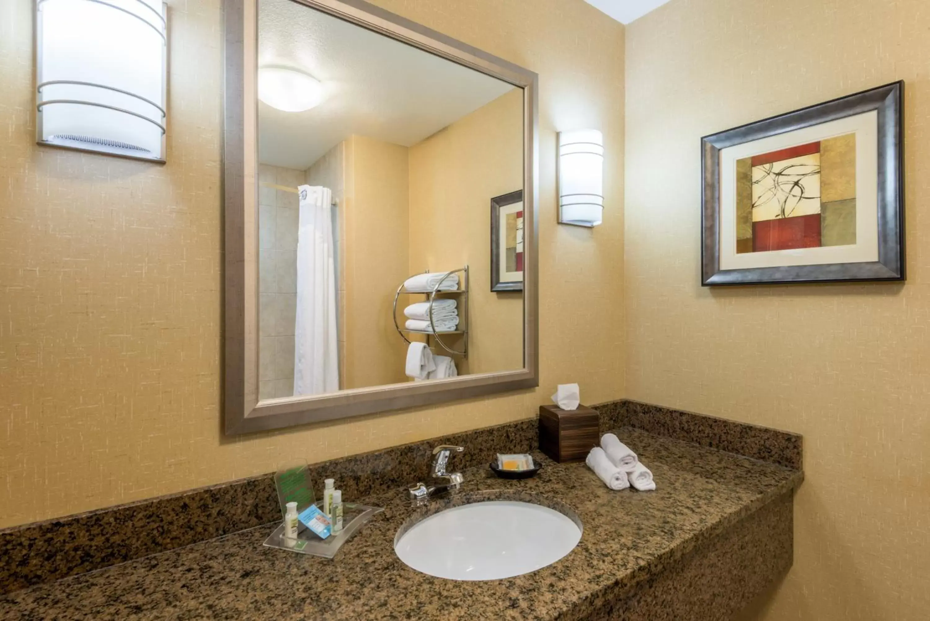 Bathroom in Holiday Inn Hotel & Suites Grand Junction-Airport, an IHG Hotel