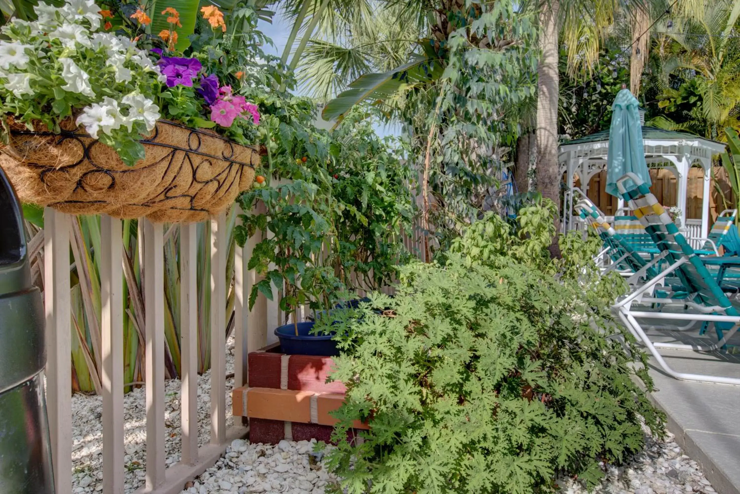 Garden in The Ringling Beach House