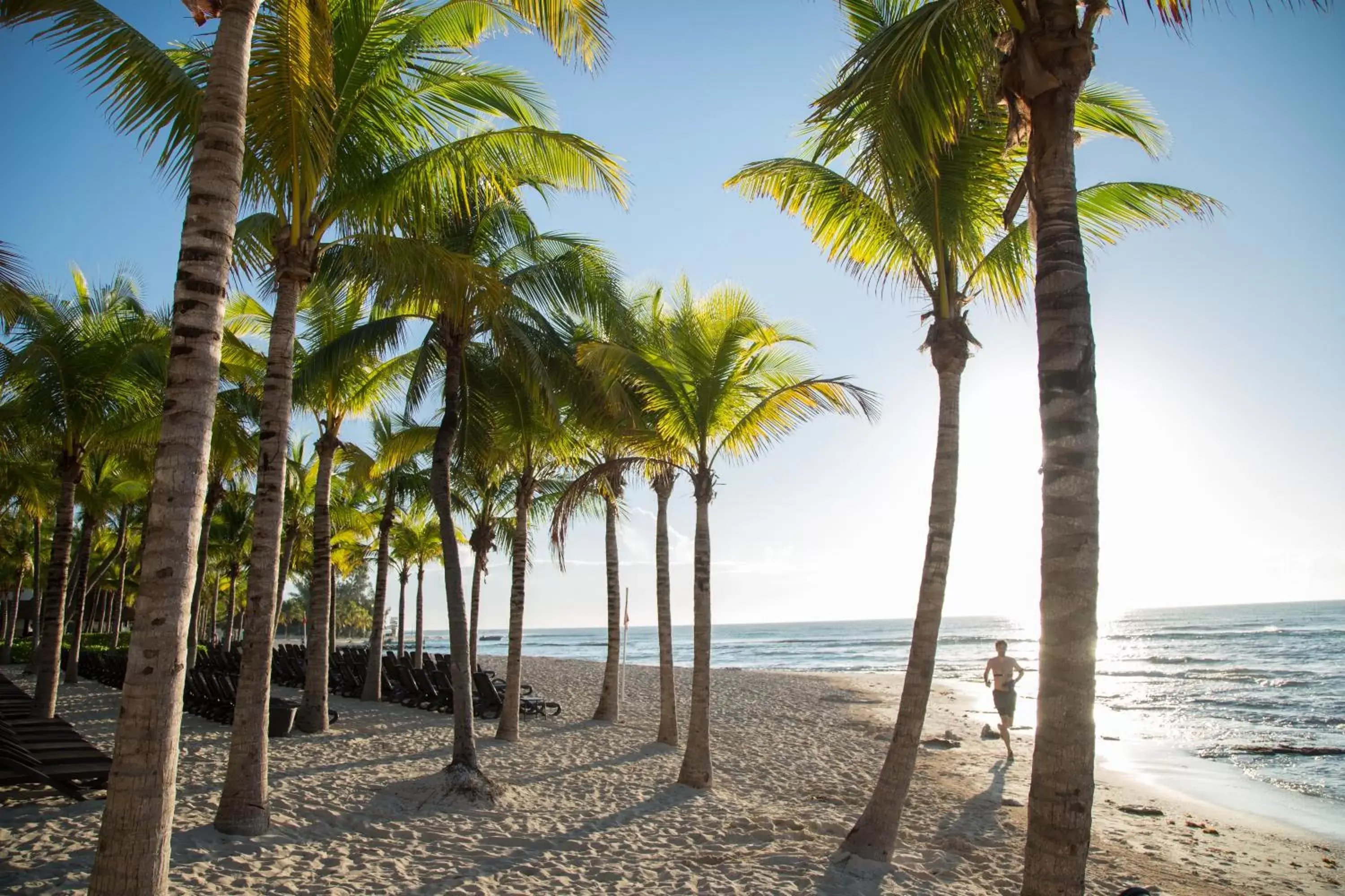 Beach in Sandos Caracol Eco Resort All Inclusive