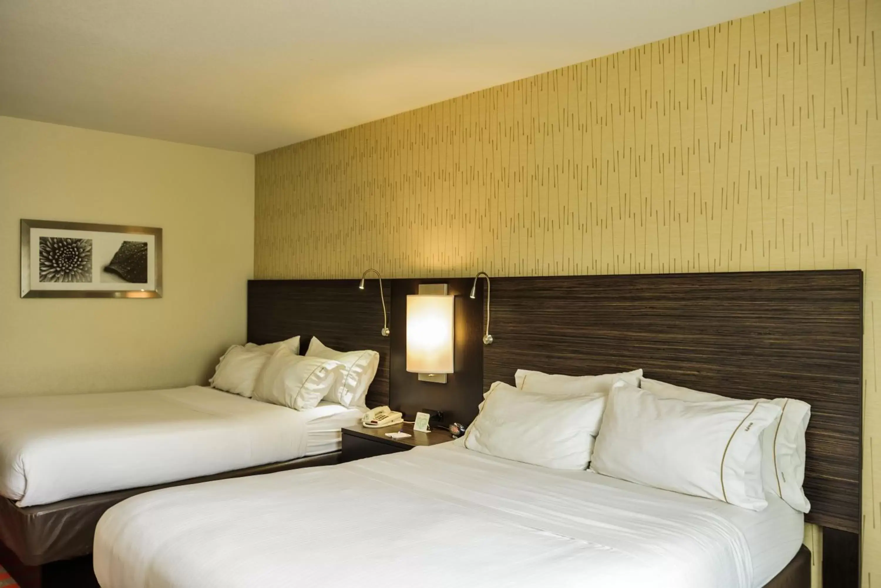 Photo of the whole room, Bed in Holiday Inn Express and Suites - Bradford, an IHG Hotel