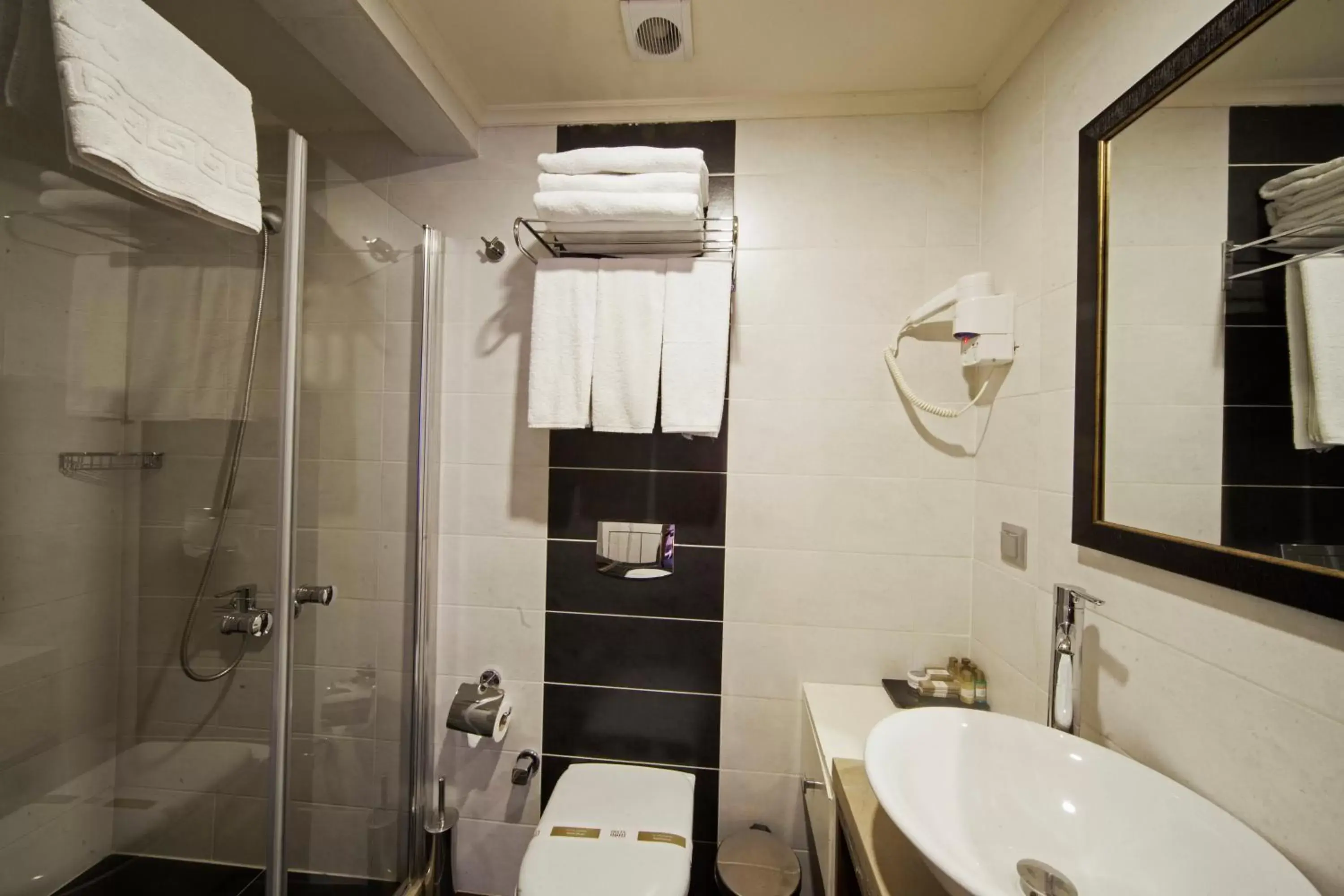 Decorative detail, Bathroom in Delta Hotel Istanbul