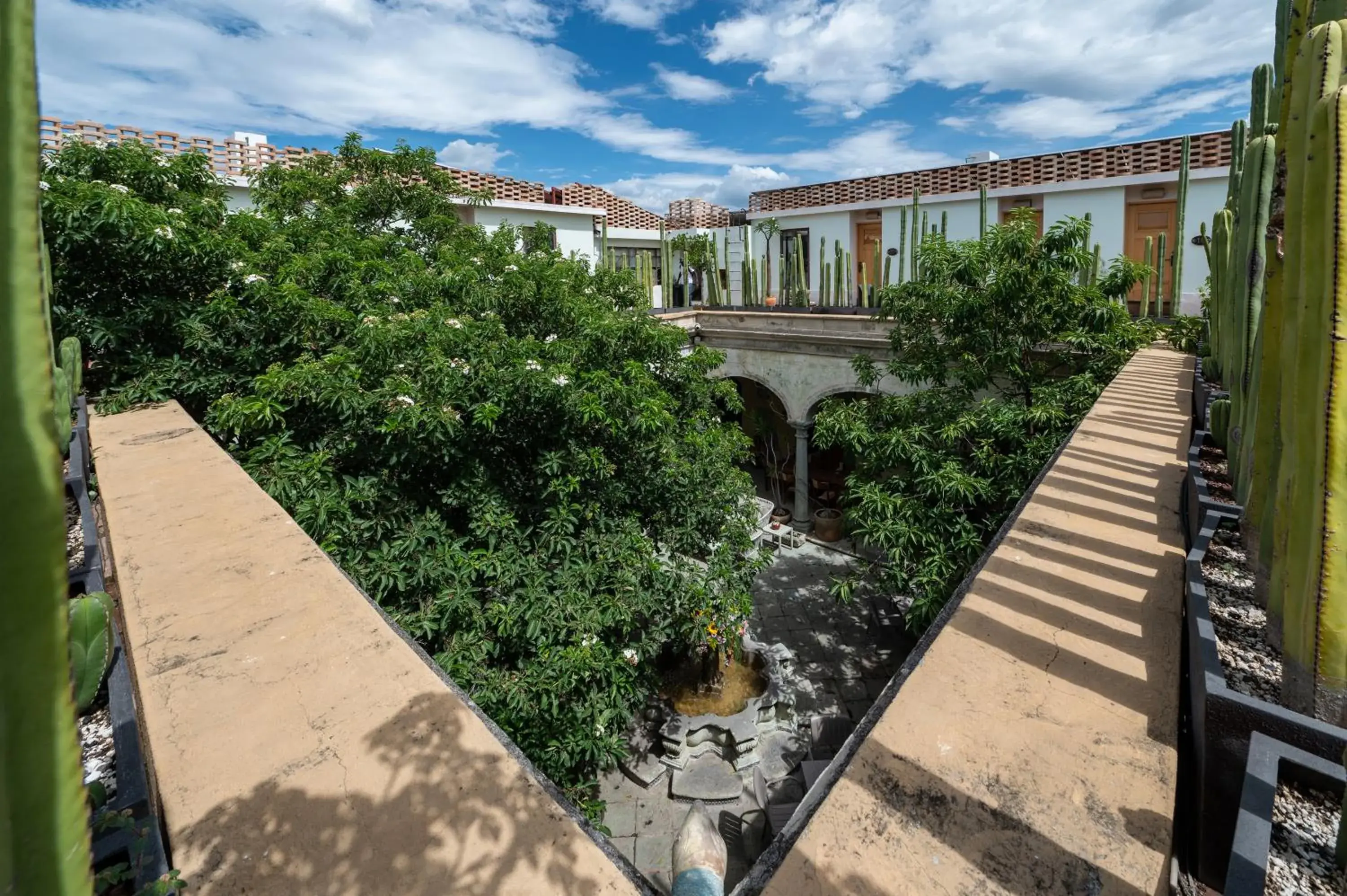 Garden view in Casa De Sierra Azul