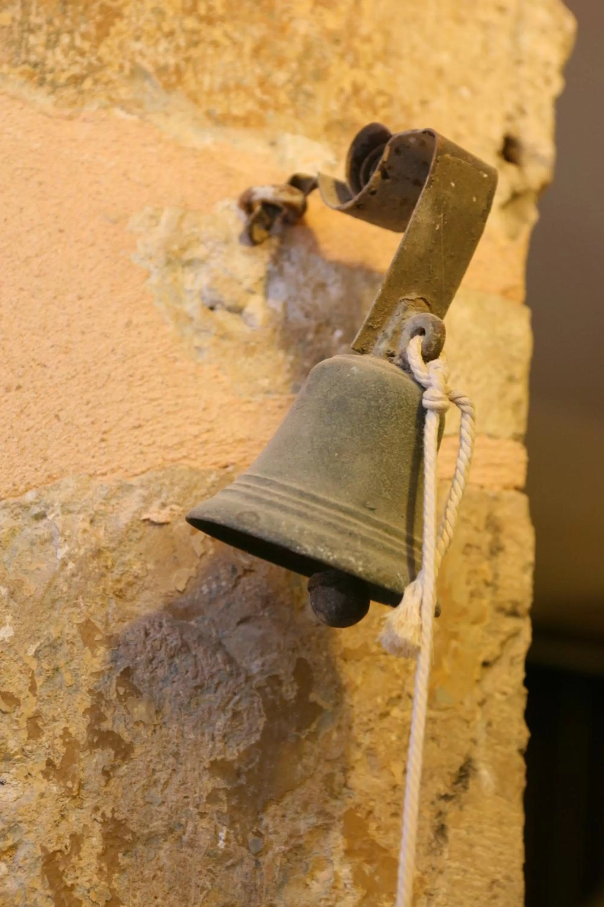 Decorative detail, Other Animals in Le Parvis