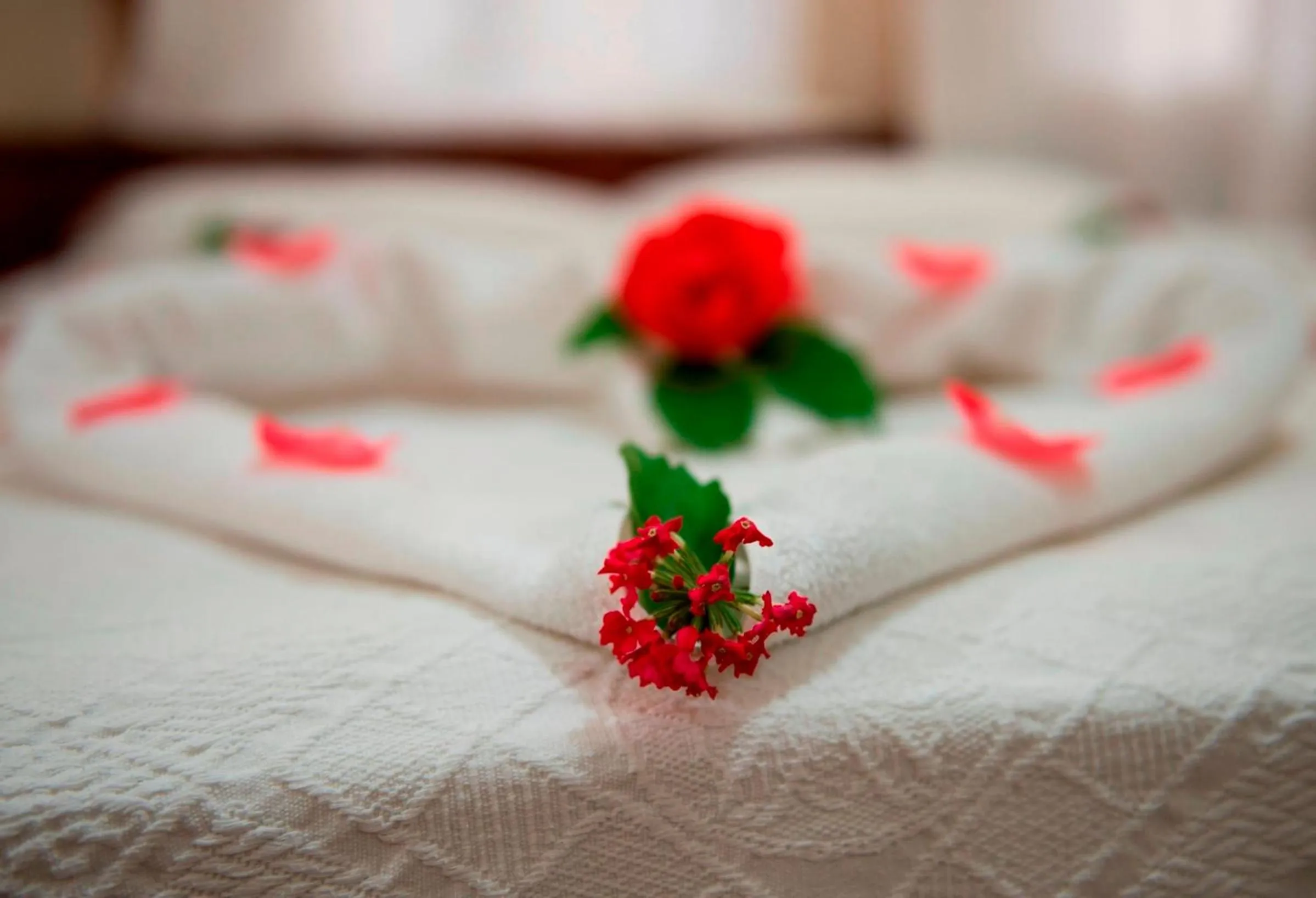 Bedroom, Bed in Han Dalyan Hotel