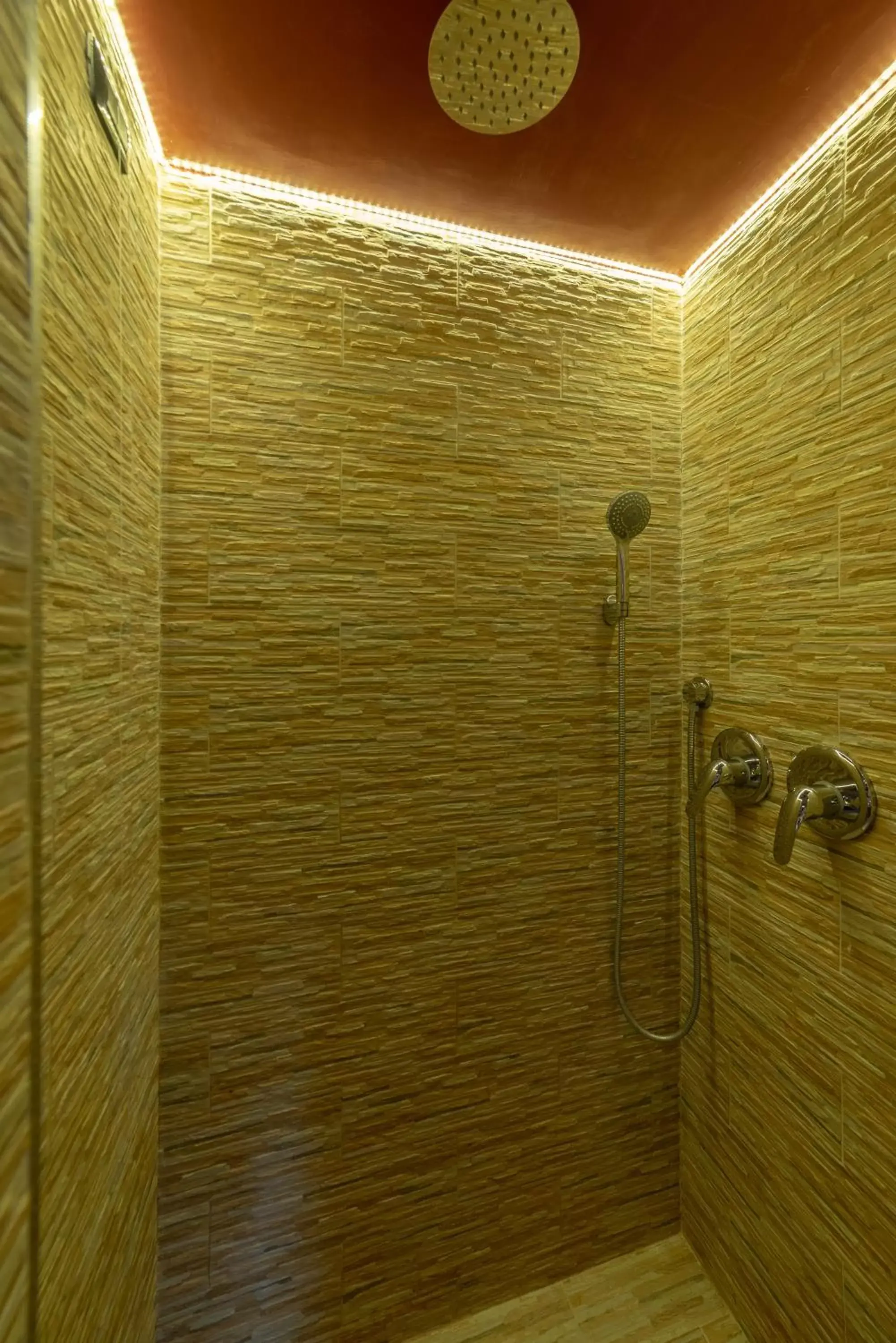 Shower, Bathroom in Aurora Rooms
