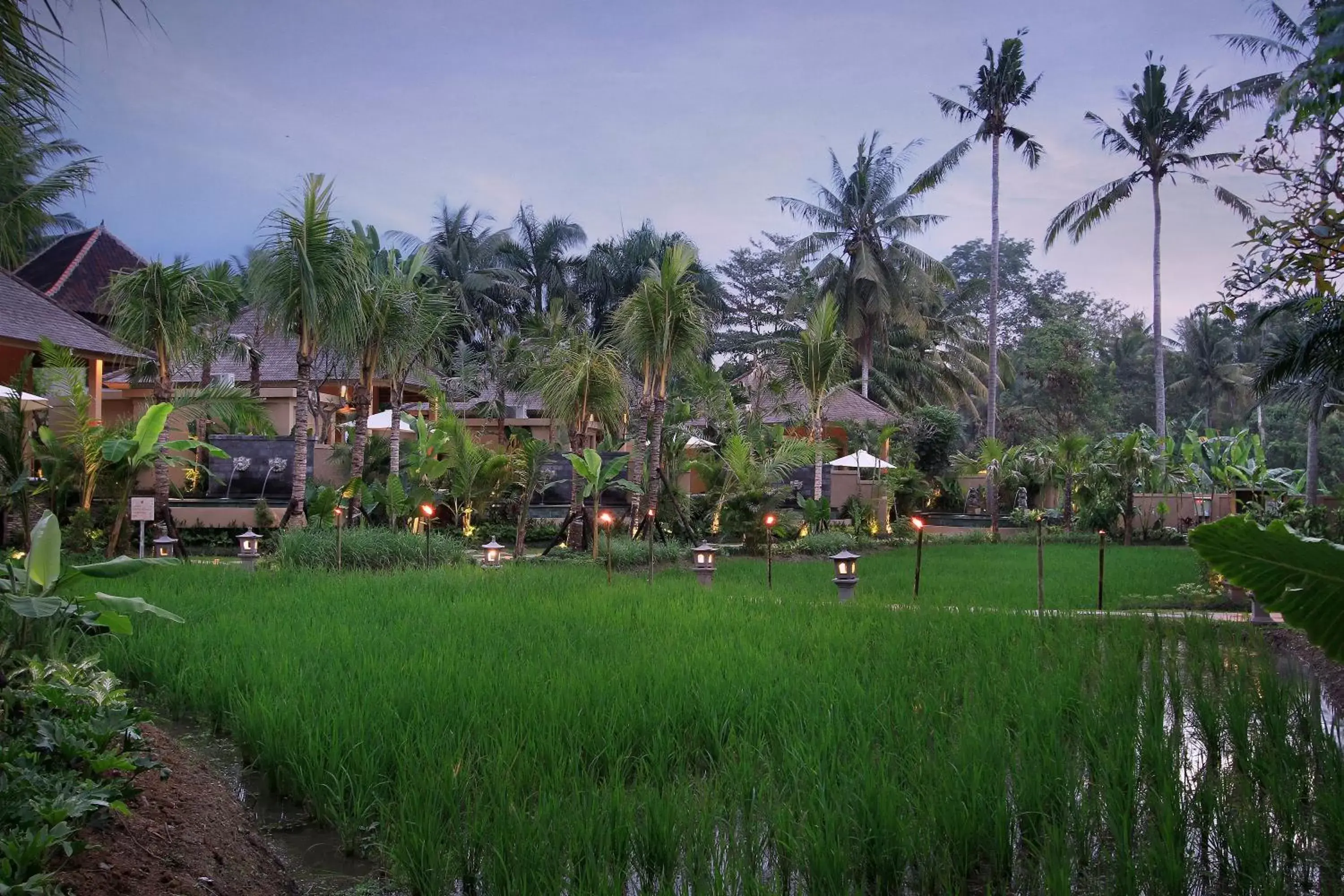 Garden view, Garden in The Sankara Resort by Pramana