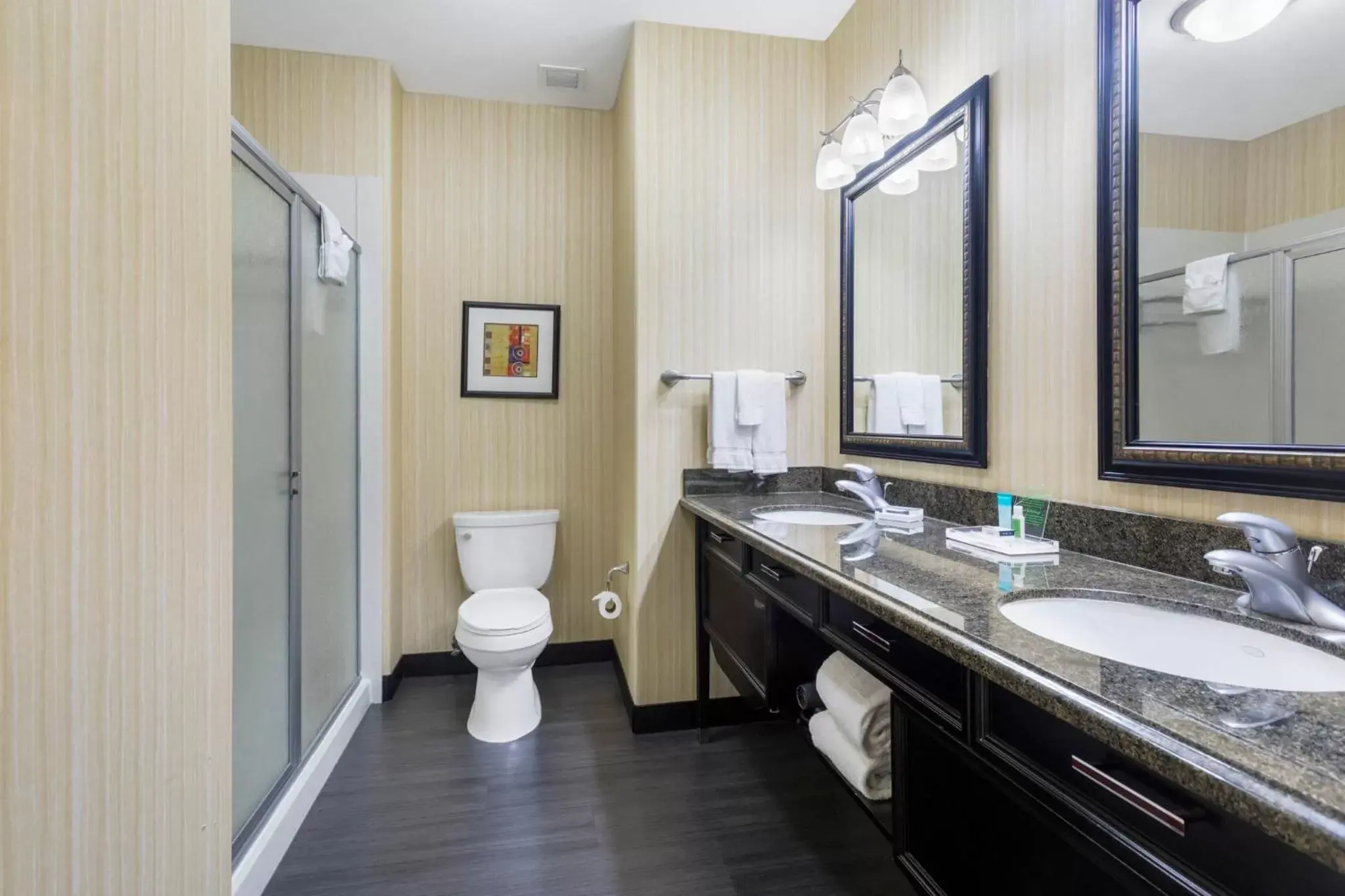 Bathroom in Holiday Inn Hotel & Suites Waco Northwest, an IHG Hotel