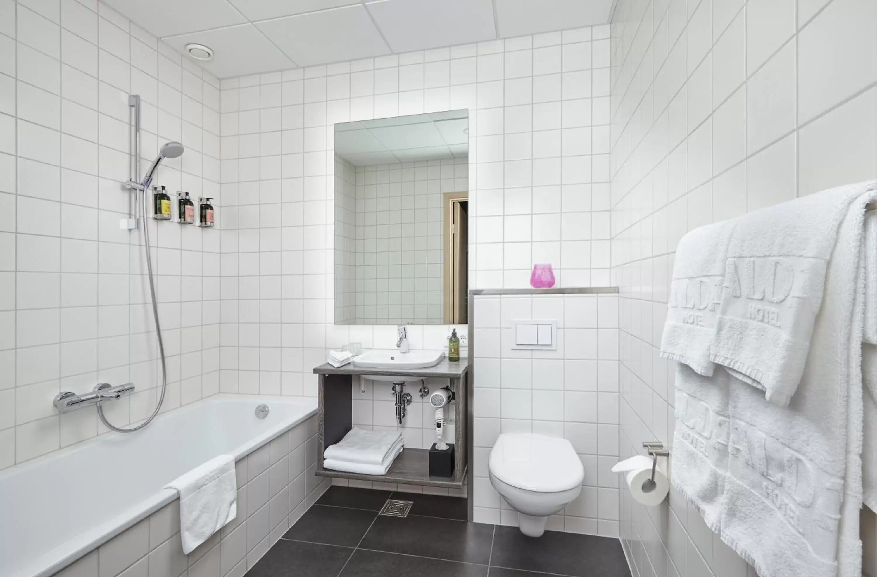 Toilet, Bathroom in Alda Hotel Reykjavík