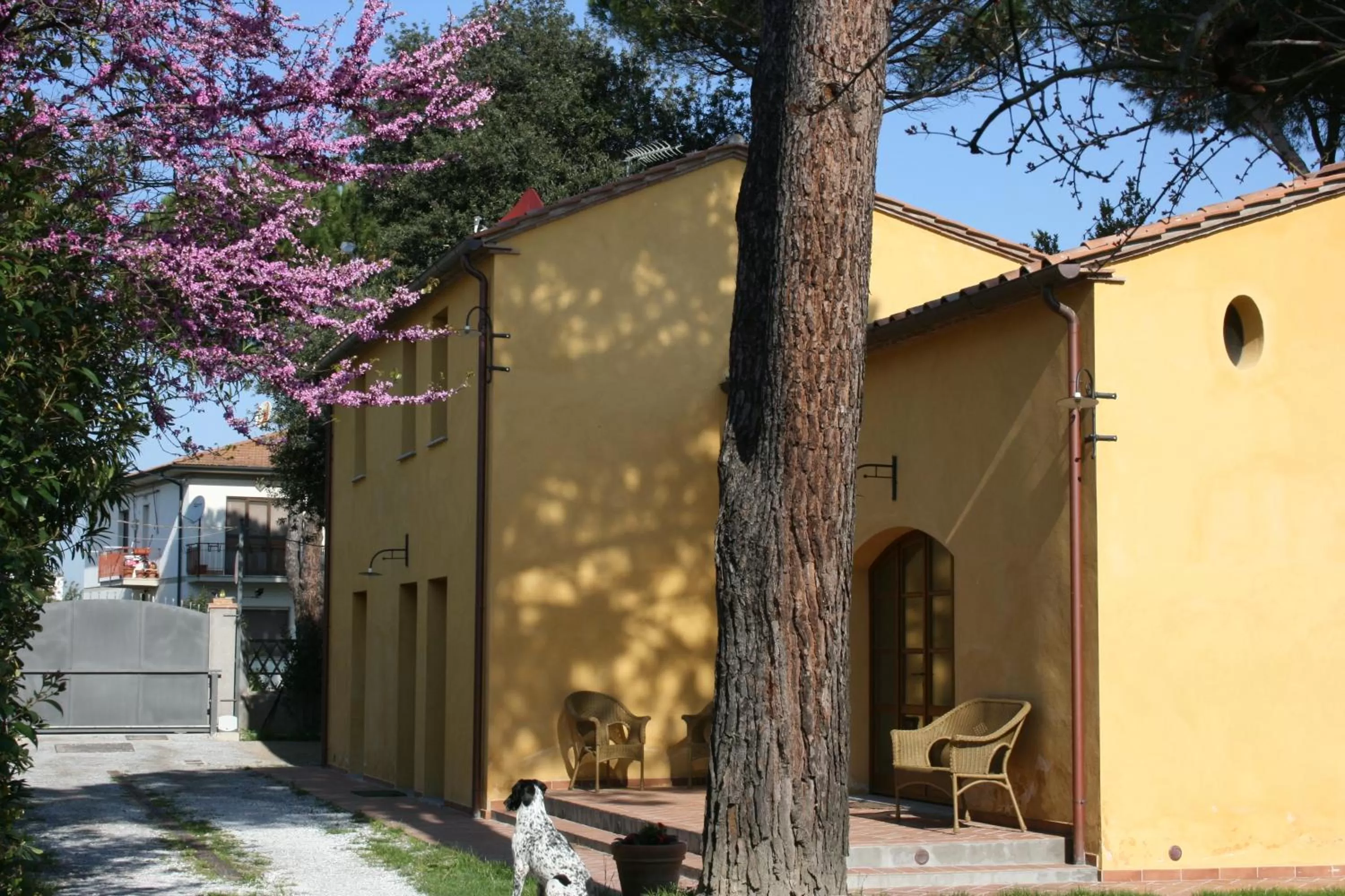 Facade/entrance in Pisa Holidays