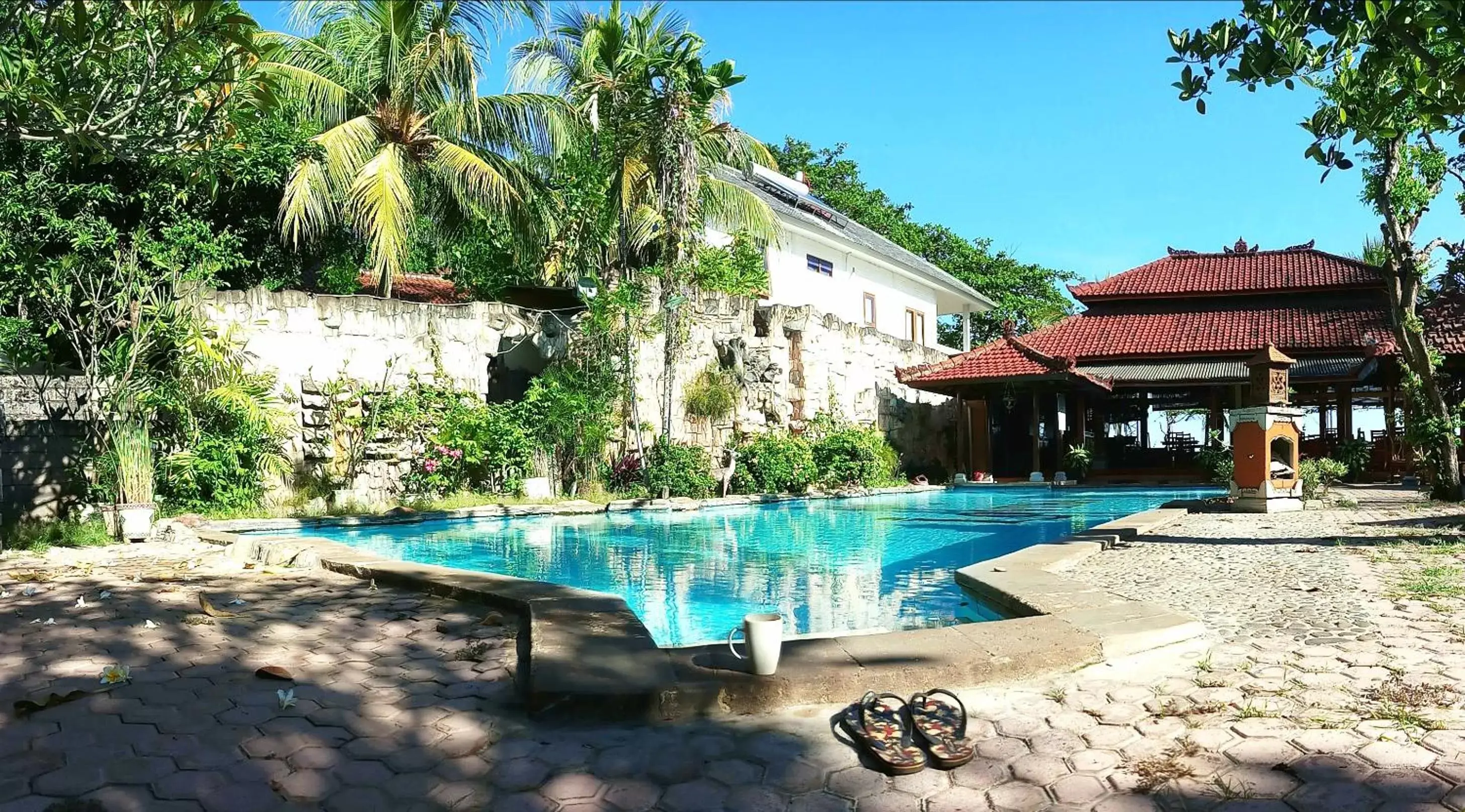 Day, Swimming Pool in Lovina Beach Hotel