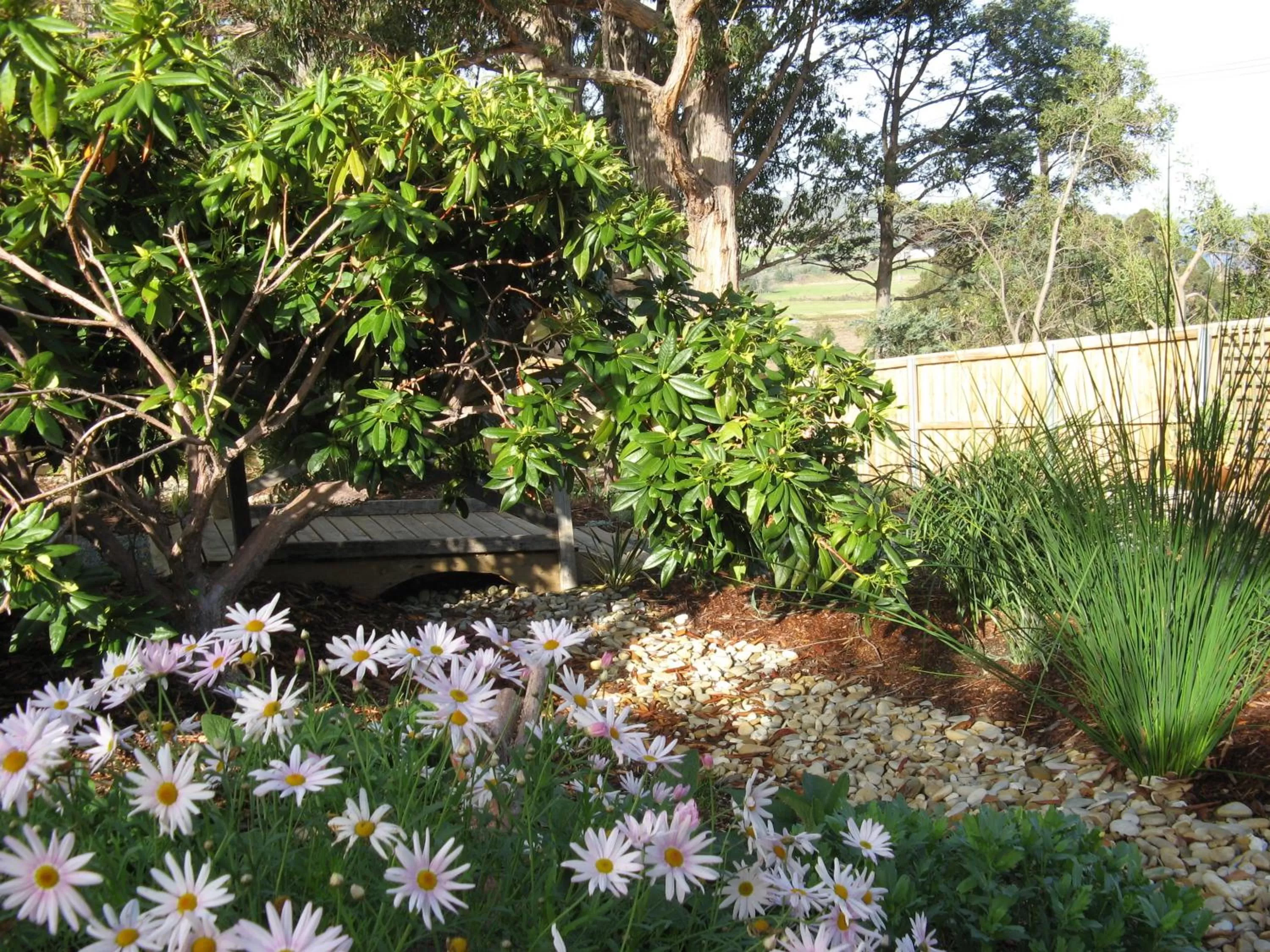 Summer in Hillside Bed and Breakfast