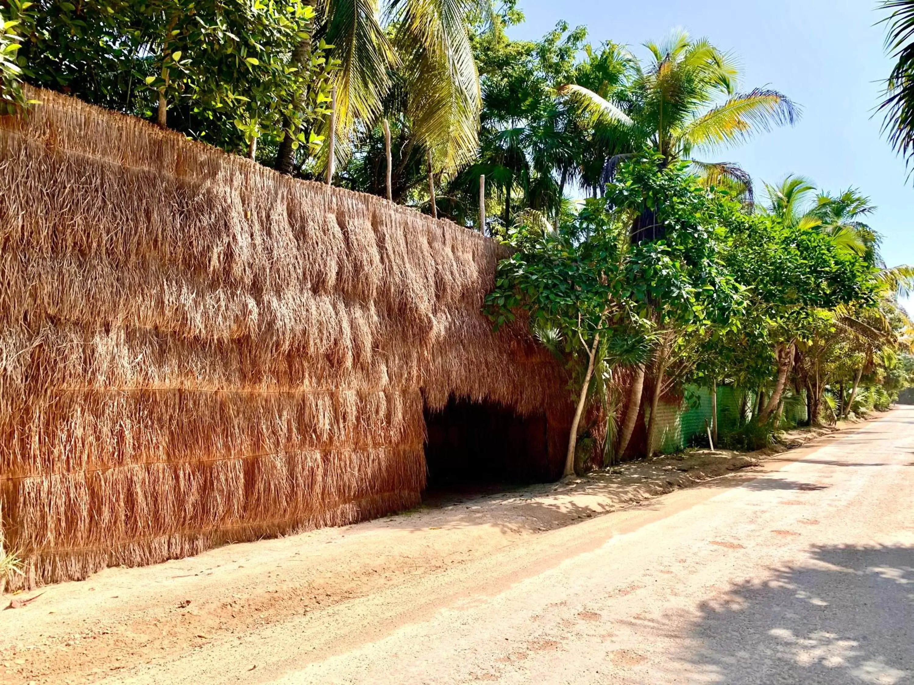 Property building in Libelula Tulum Beachfront Hotel