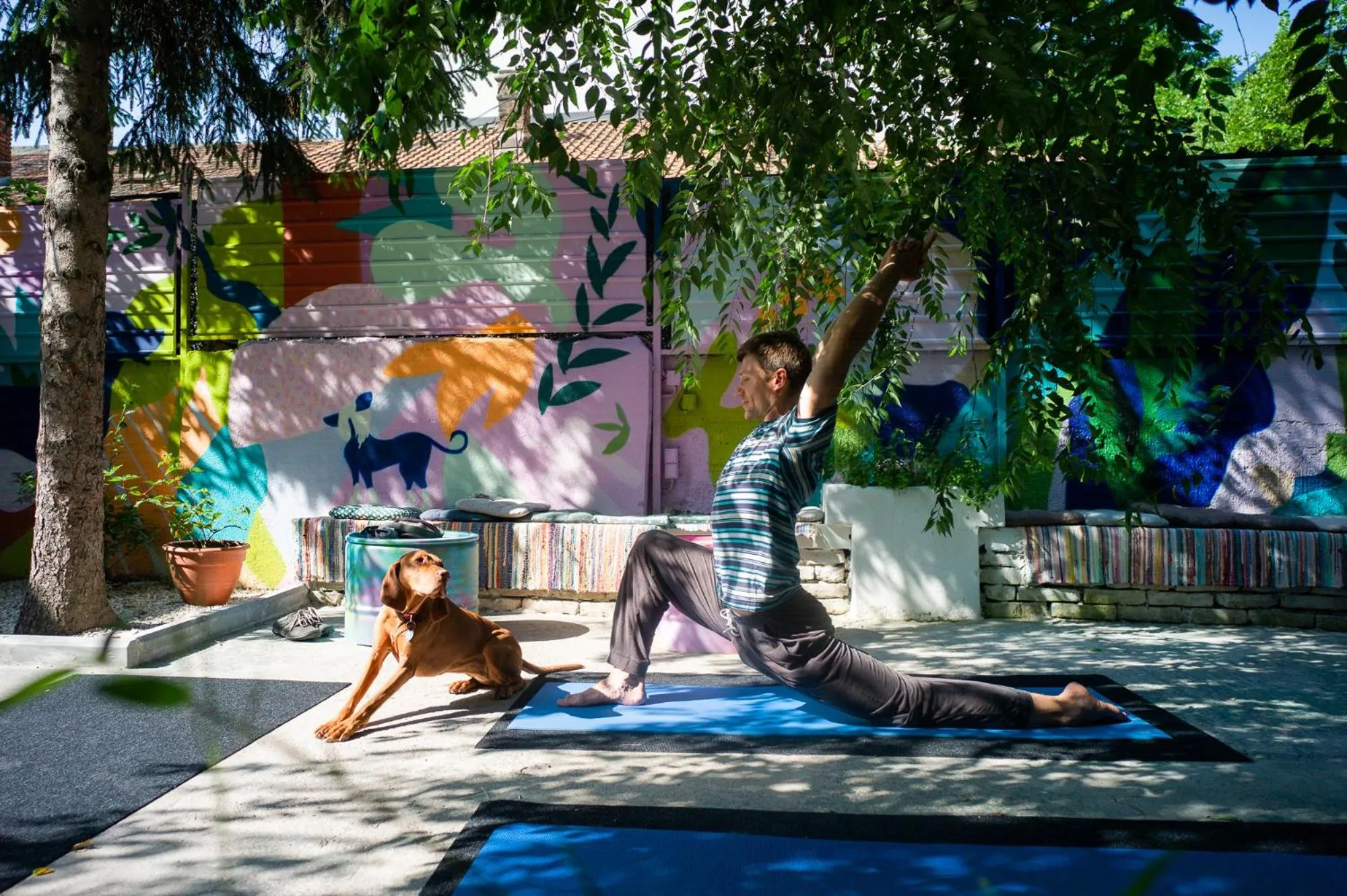 Garden in Good People Design Hostel