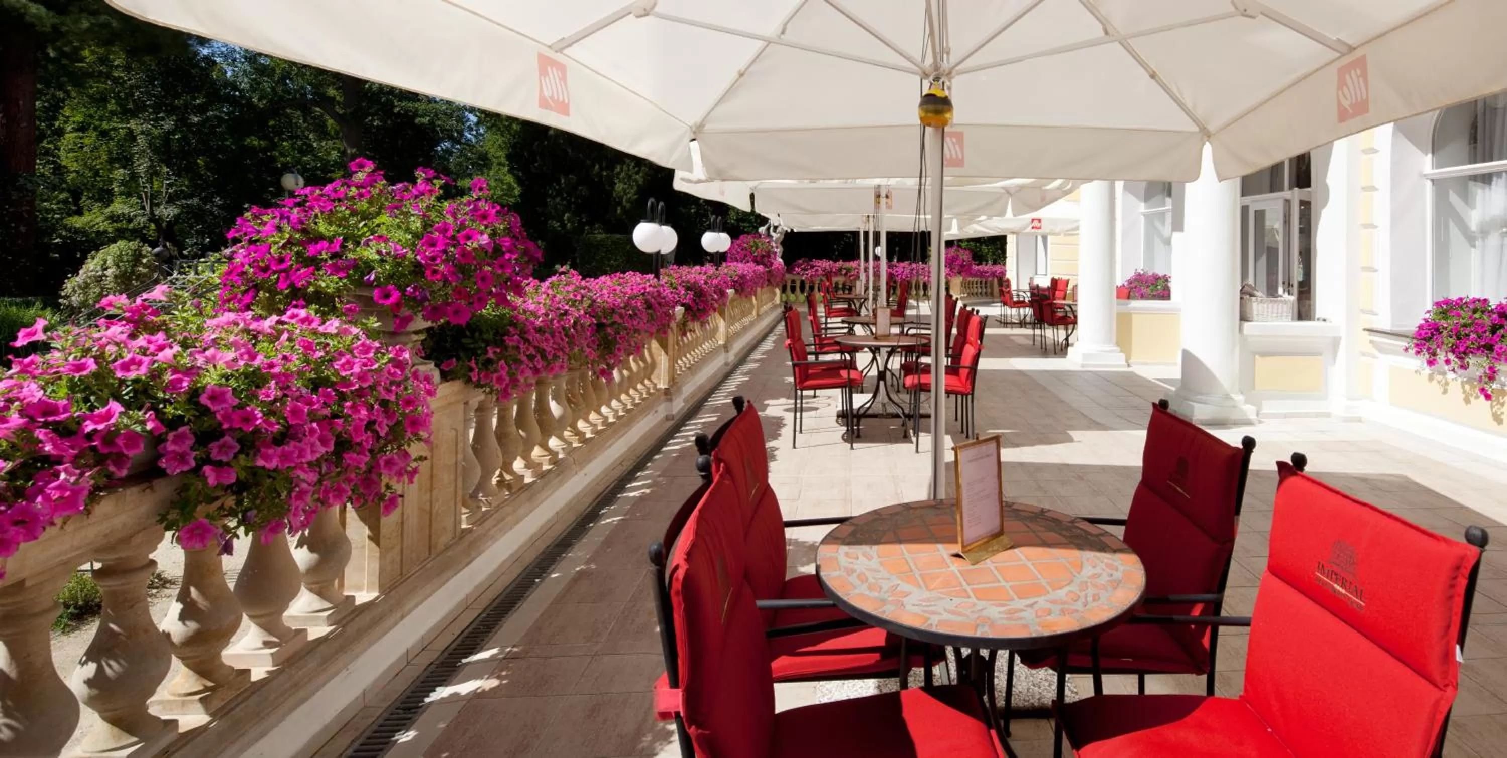 Restaurant/places to eat in Imperial Spa & Kurhotel