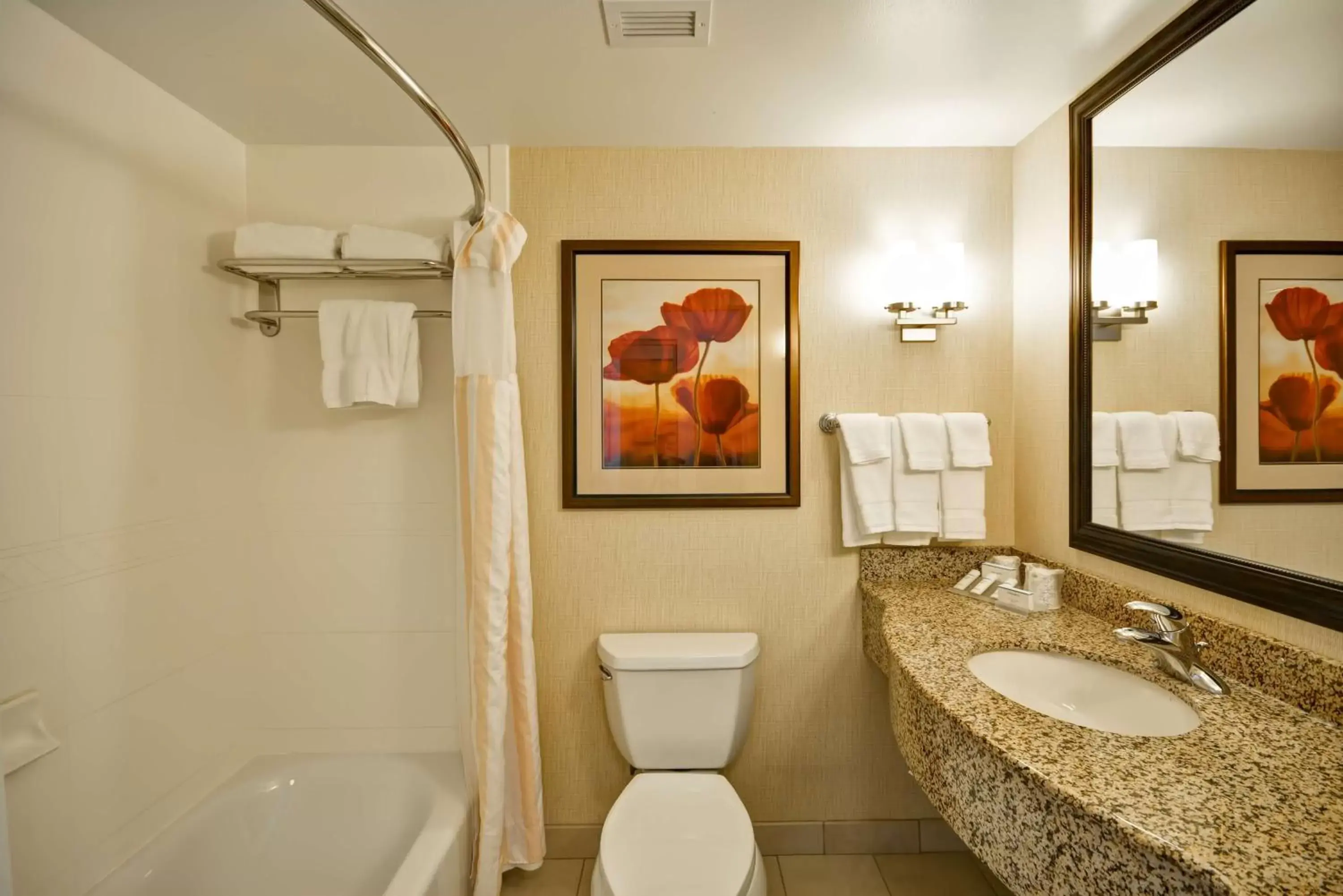 Bathroom in Hilton Garden Inn Tampa Riverview Brandon