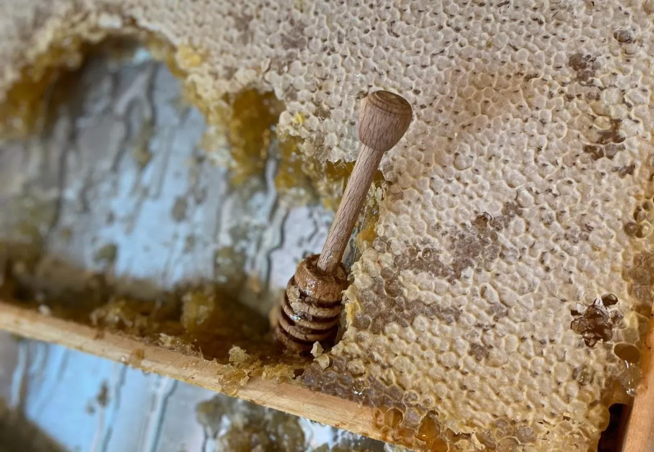 Breakfast in Hotel Corallo Rimini