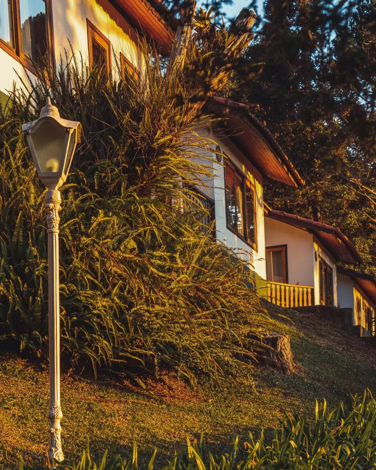 Garden in Hotel Meissner Hof