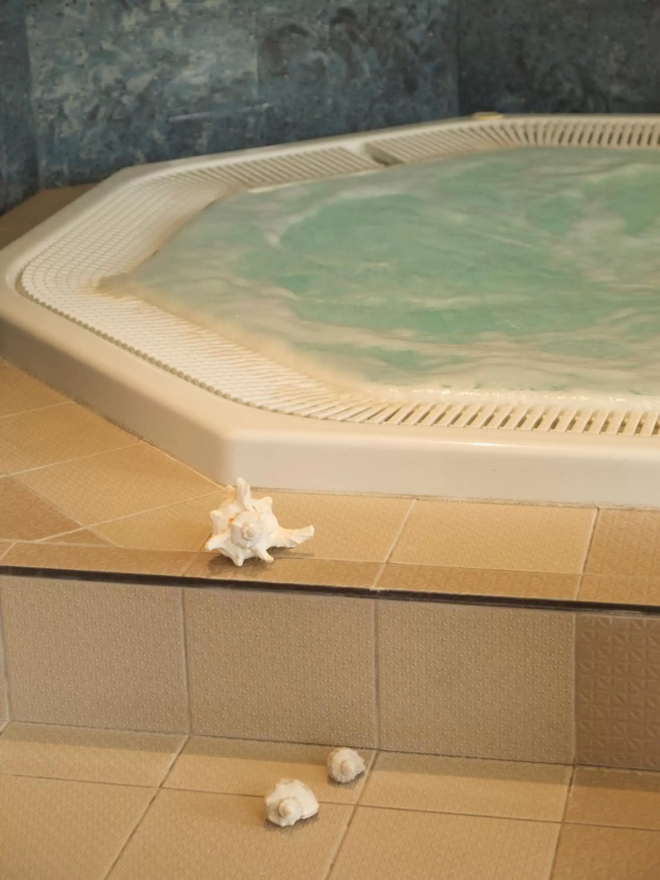 Hot Tub, Swimming Pool in Wellness Hotel Jean De Carro