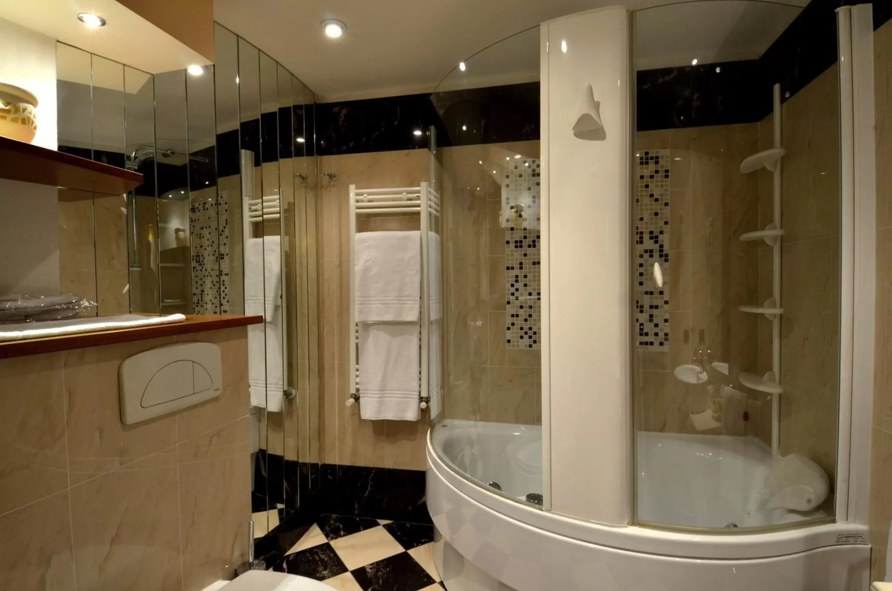 Decorative detail, Bathroom in Welcome Hotel