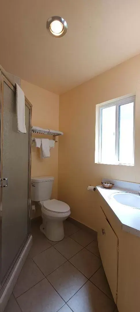 Shower, Bathroom in Lakeview Inn