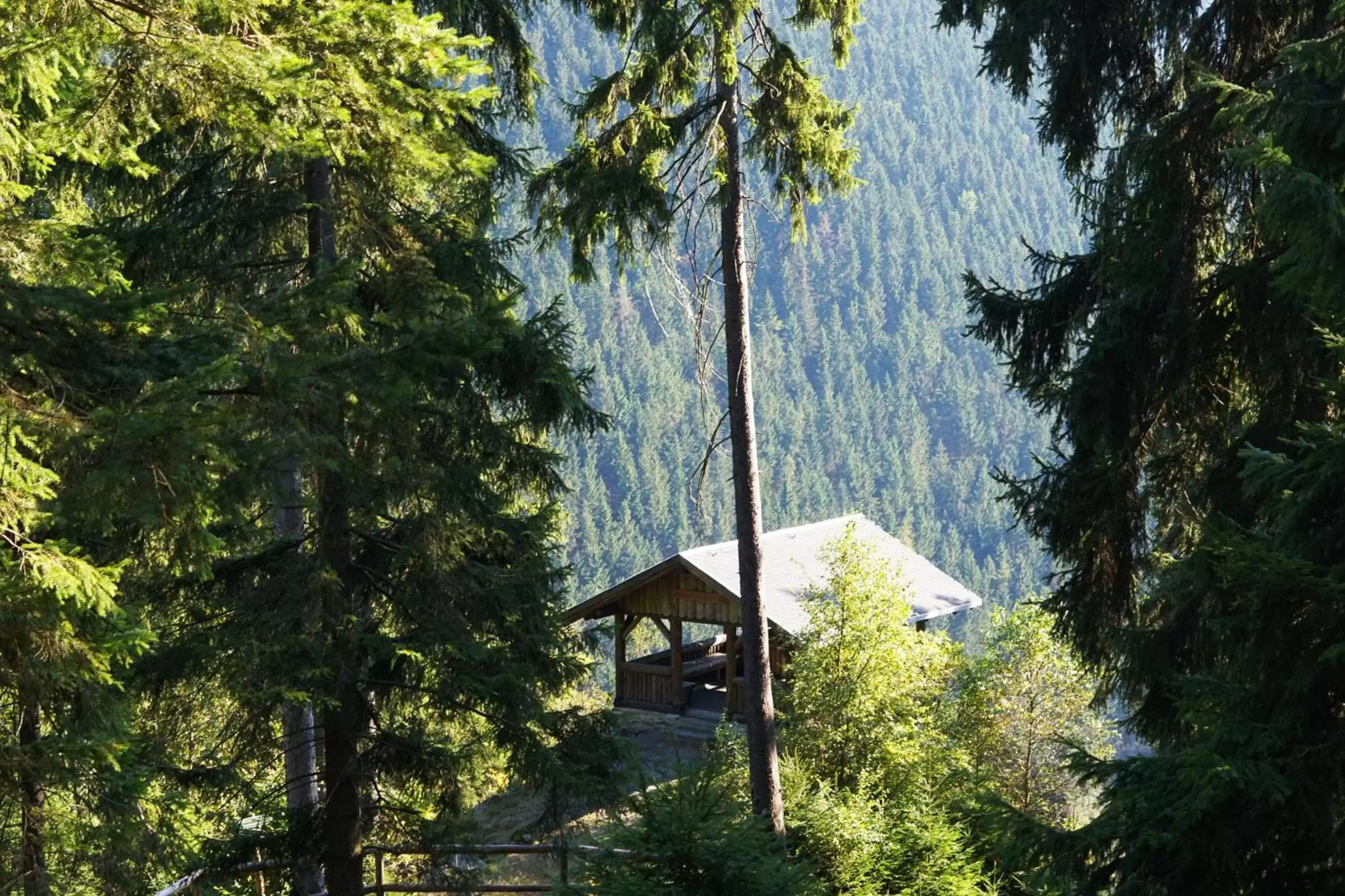 Natural landscape in Hotel Beck