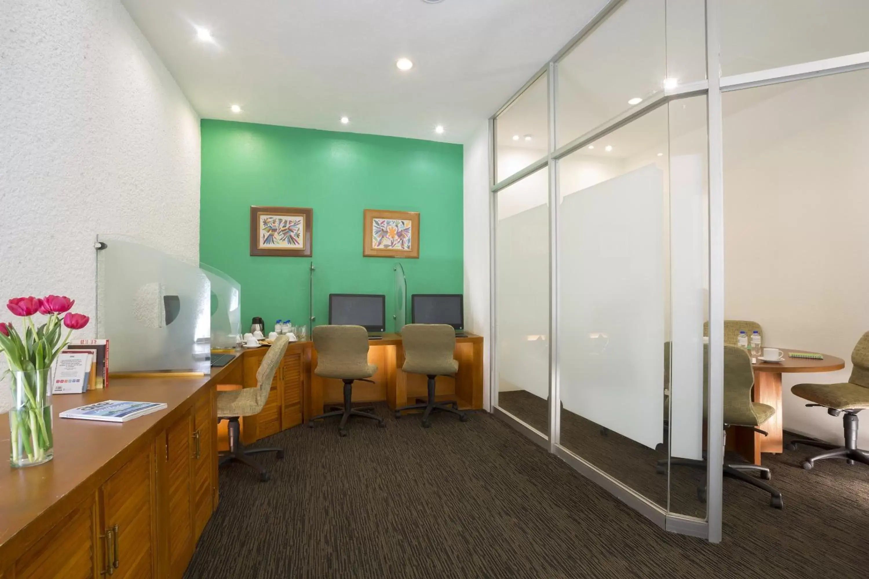 Business facilities in Gamma Pachuca