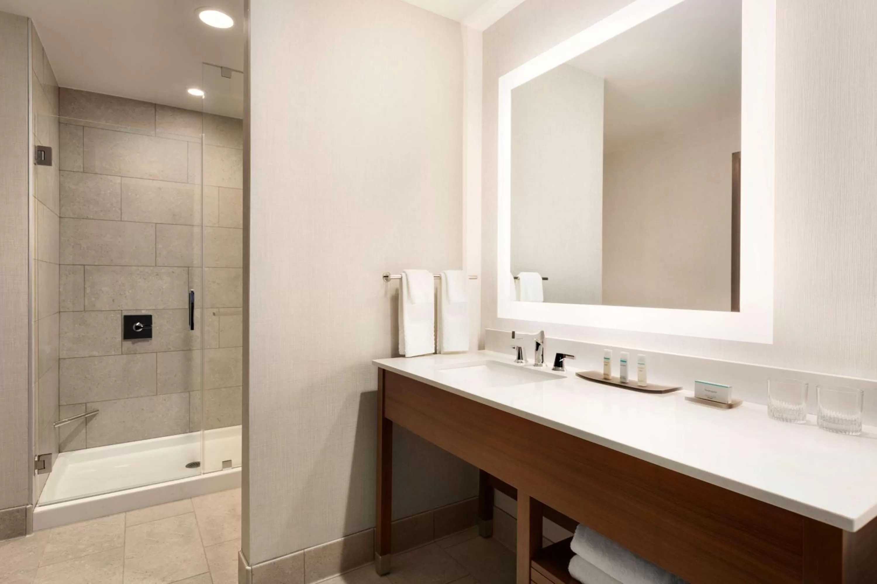 Bathroom in Embassy Suites By Hilton Denton Convention Center