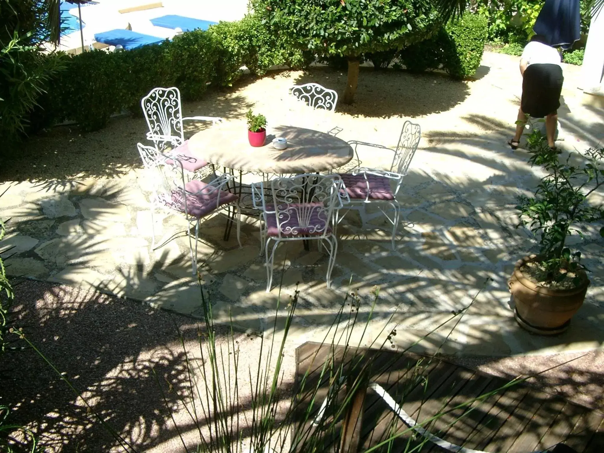 Patio in Hotel Montemar