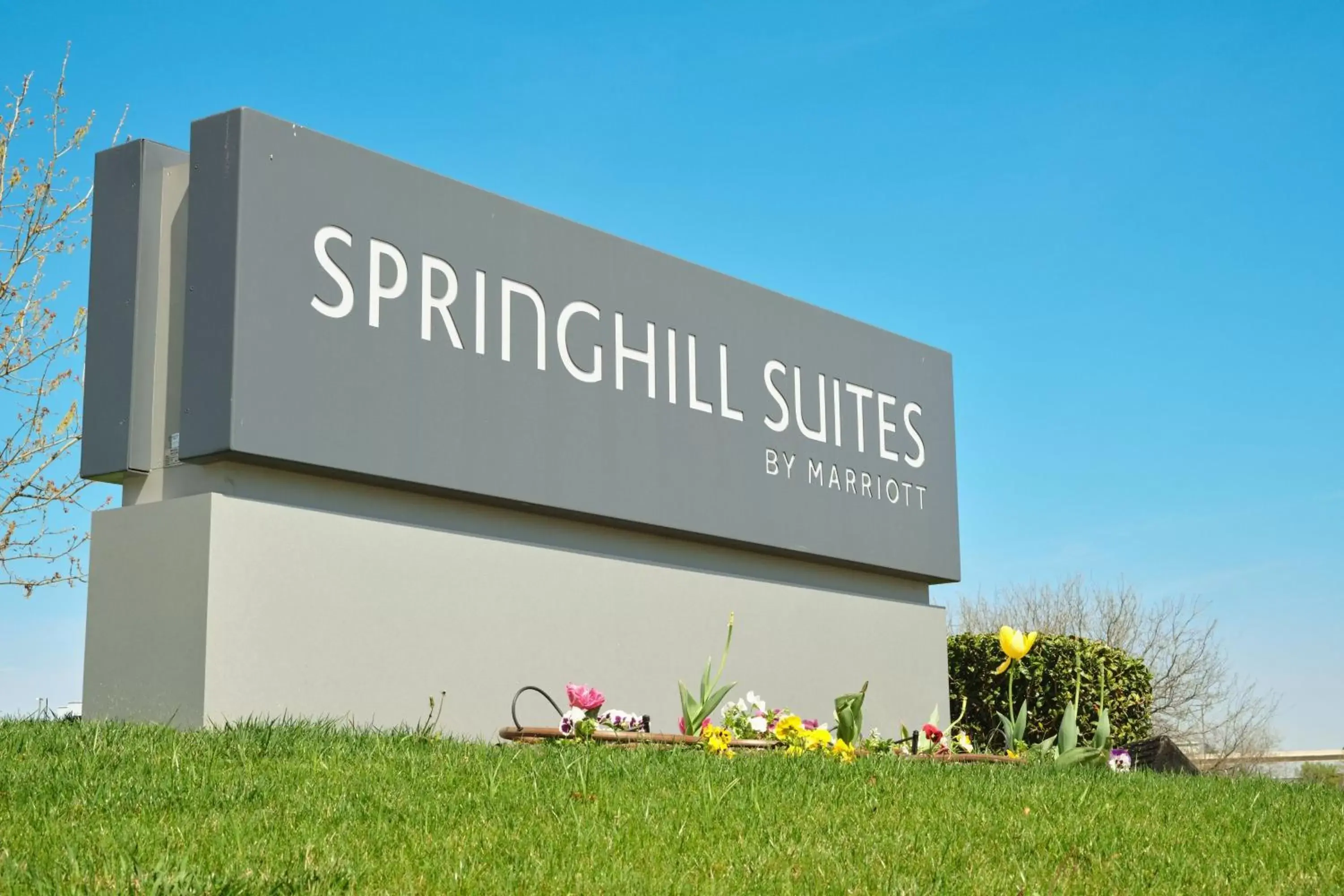 Property Building in SpringHill Suites by Marriott Dallas Lewisville
