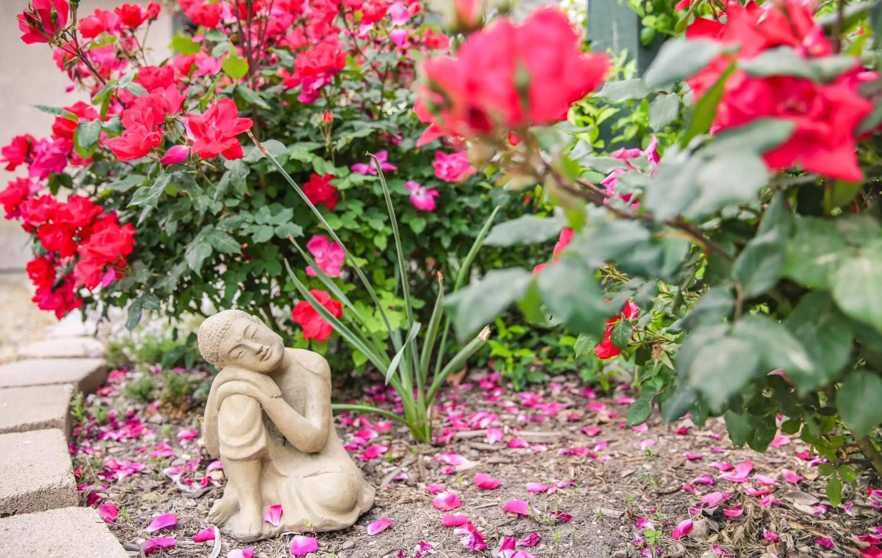 Garden in The Eden House Vineyard