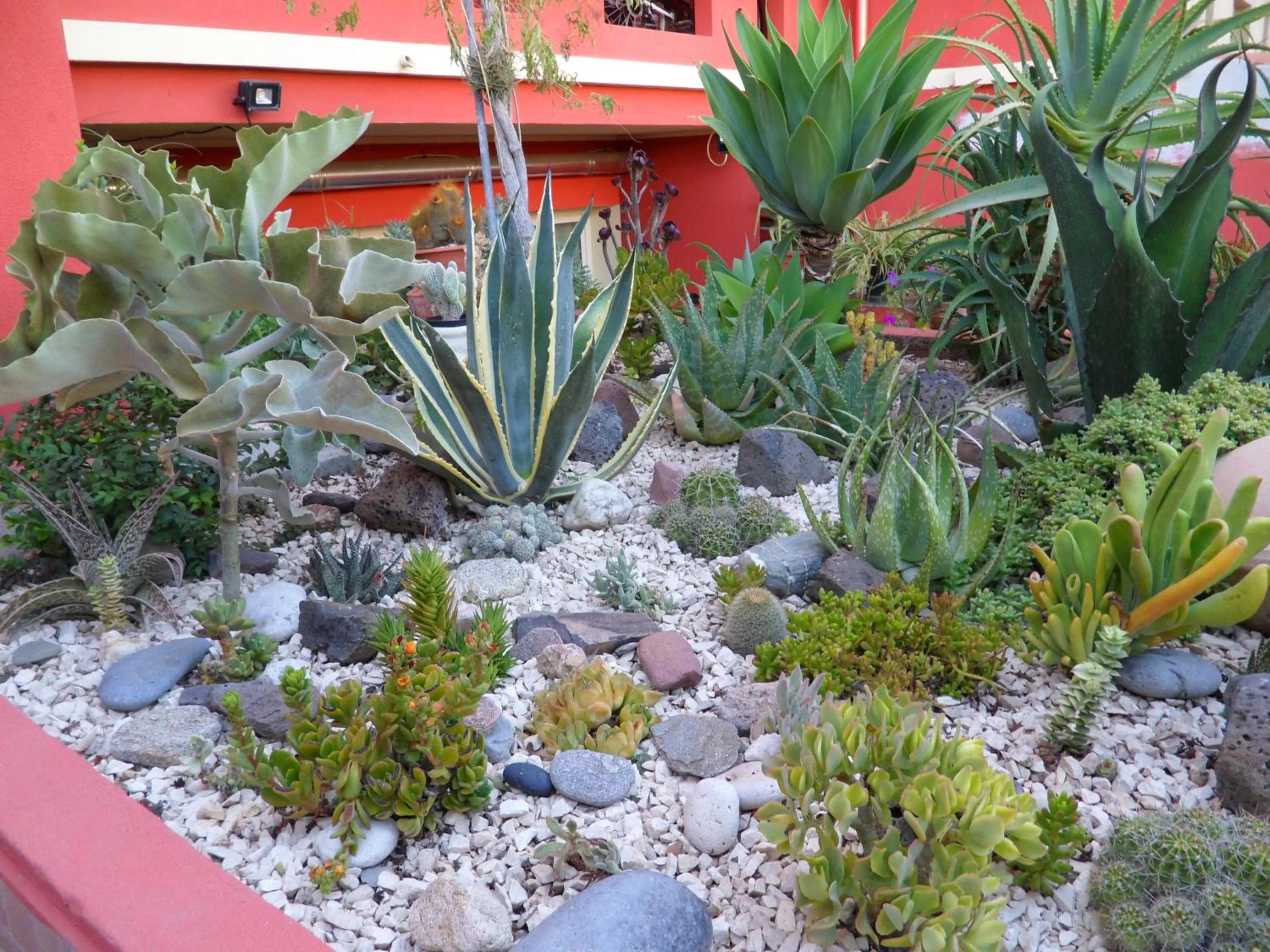 Floor plan in B&B Il Mirto