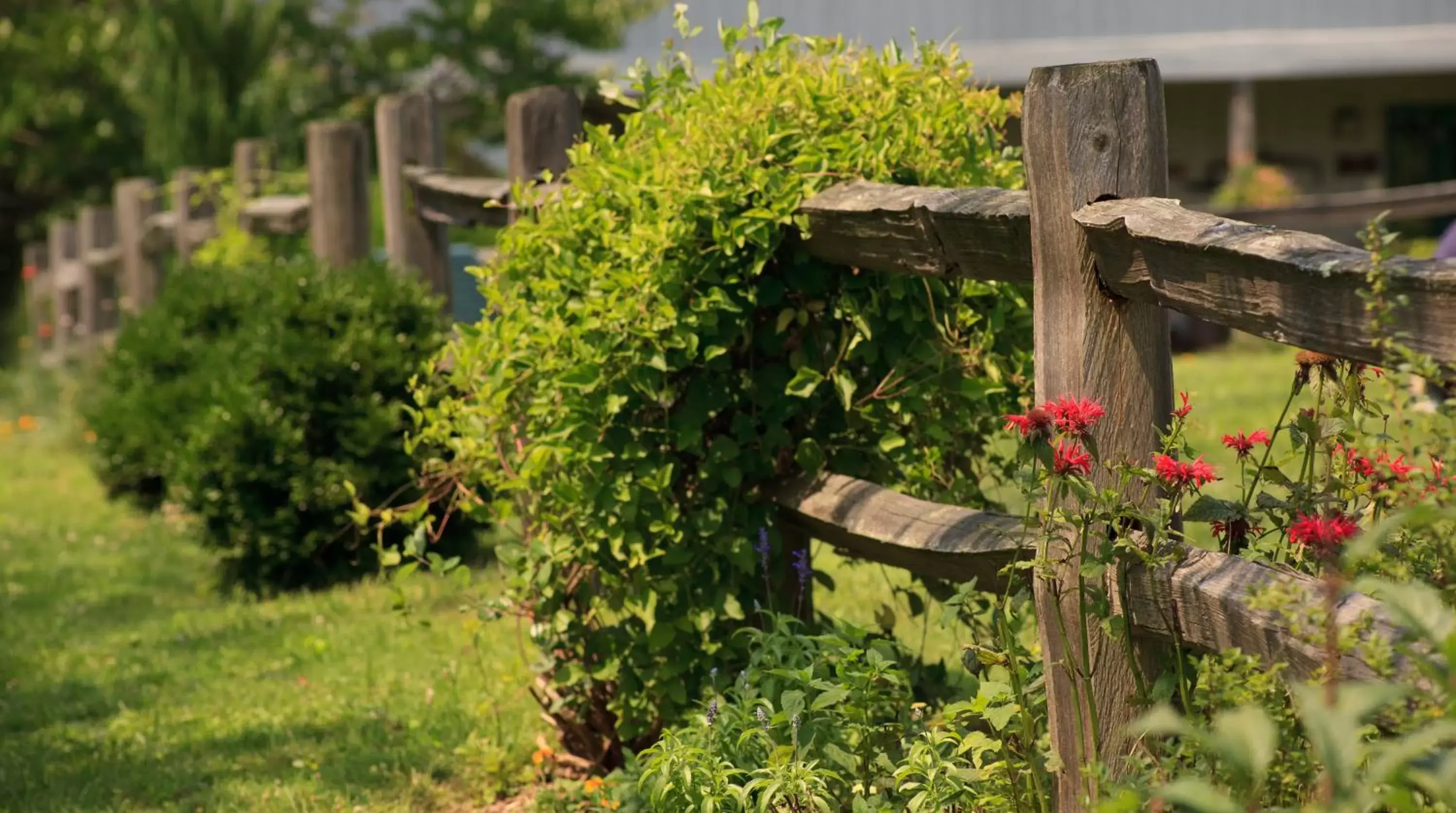 Garden in Inn & Spa at Cedar Falls