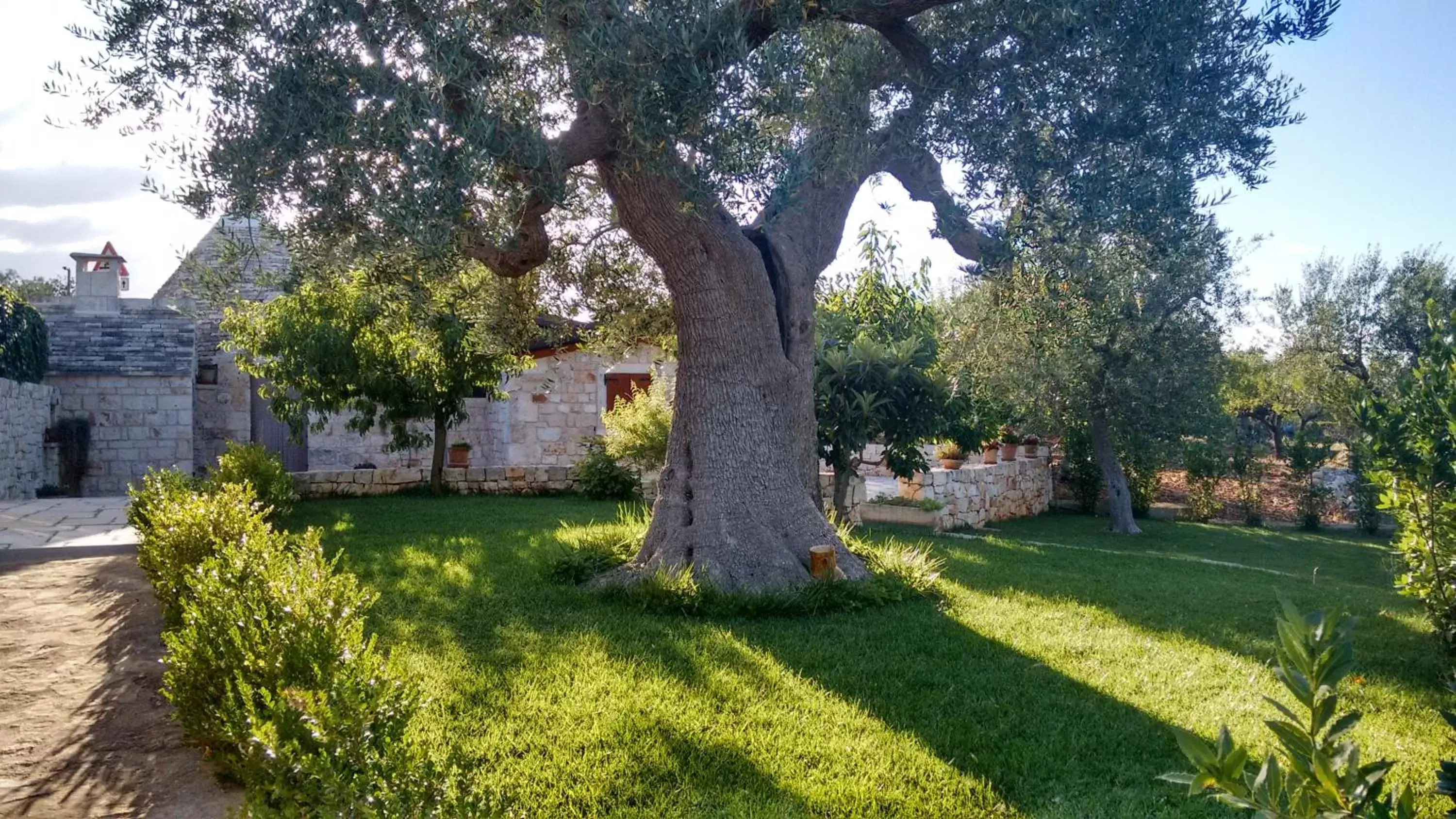 Garden in Il Giardino degli Ulivi