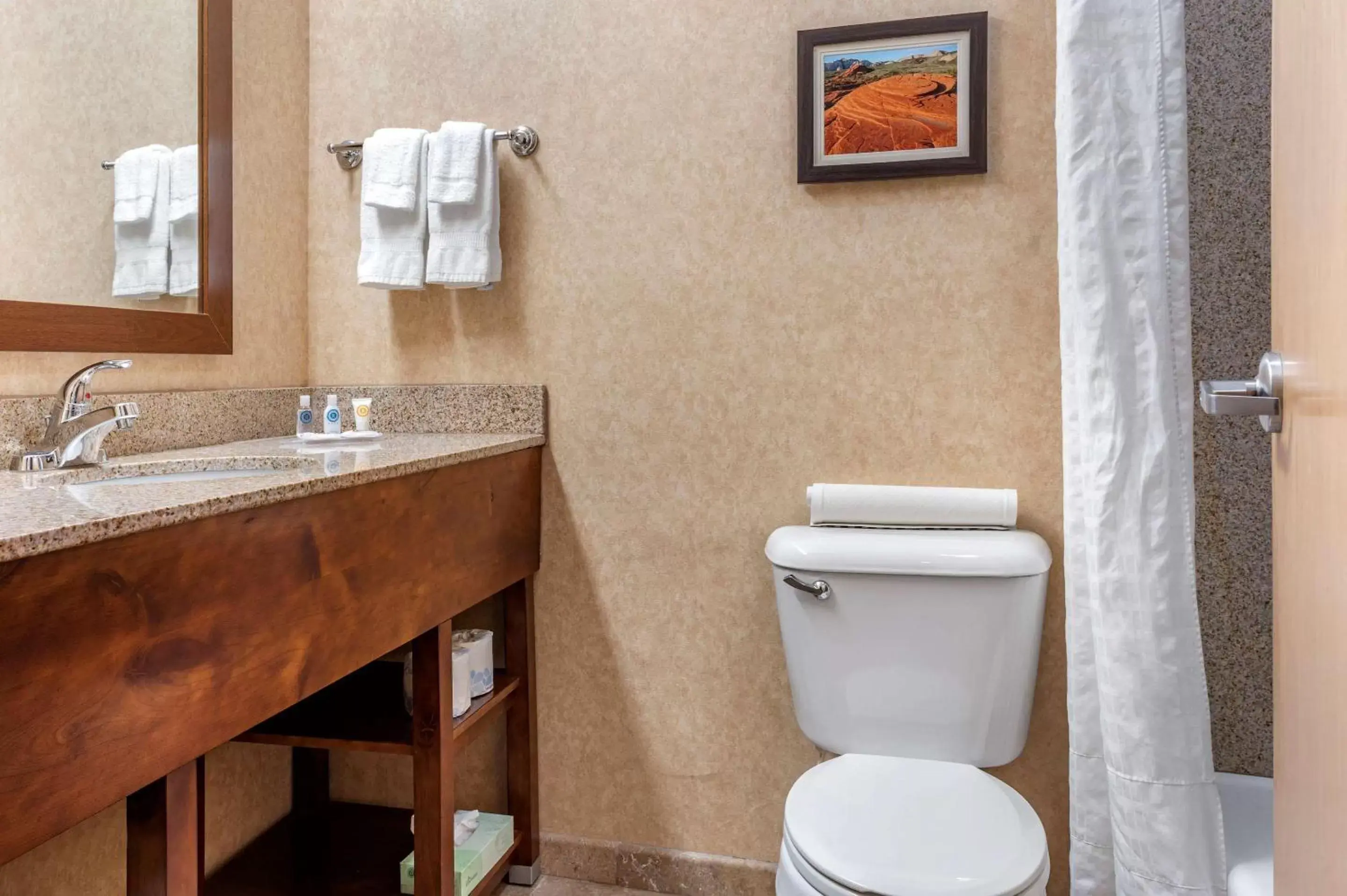 Bathroom in Comfort Inn at Convention Center Saint George