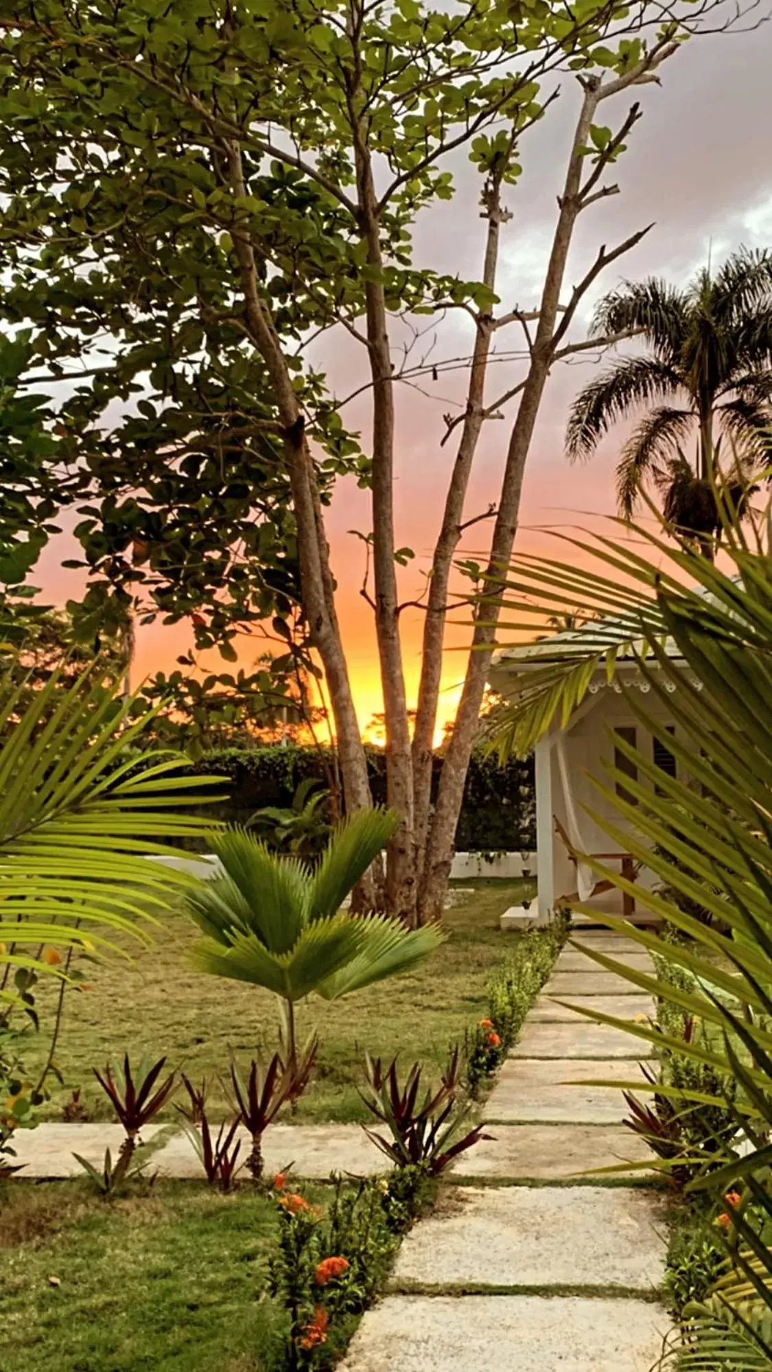 Garden view, Garden in PUNTA POPY Boutique HOTEL