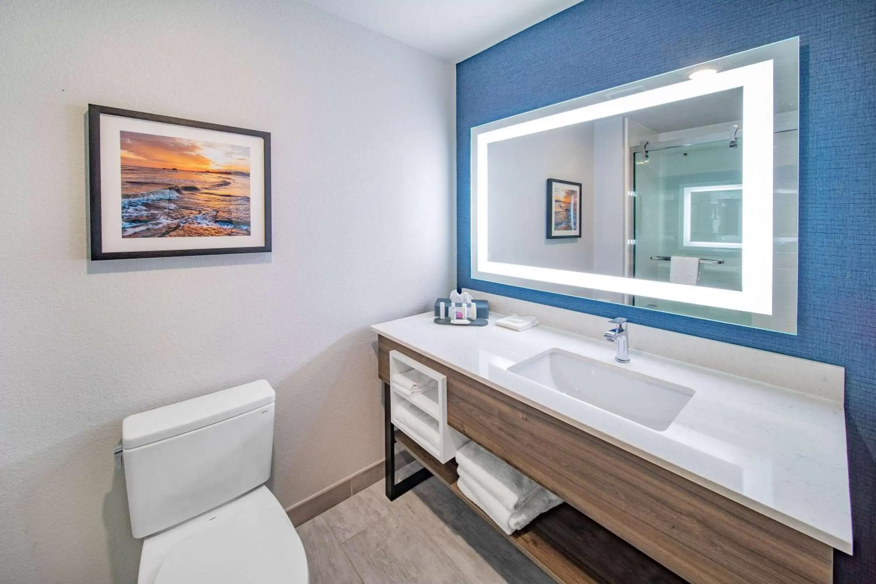 Toilet, Bathroom in La Quinta Inn & Suites by Wyndham Galveston North at I-45